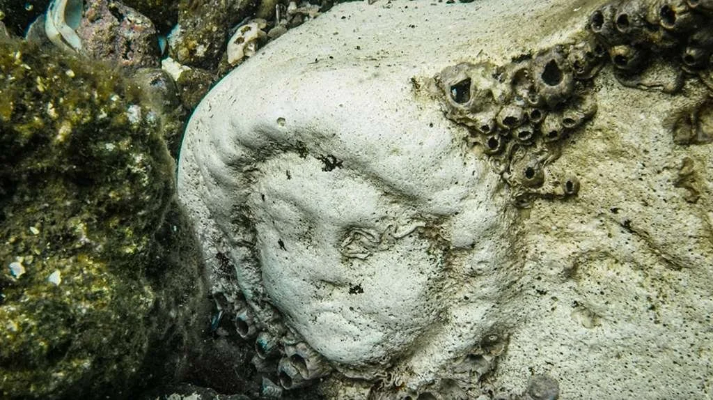 WhatsApp Image 2026-03-19 at 4.28.00 PM (1).jpeg