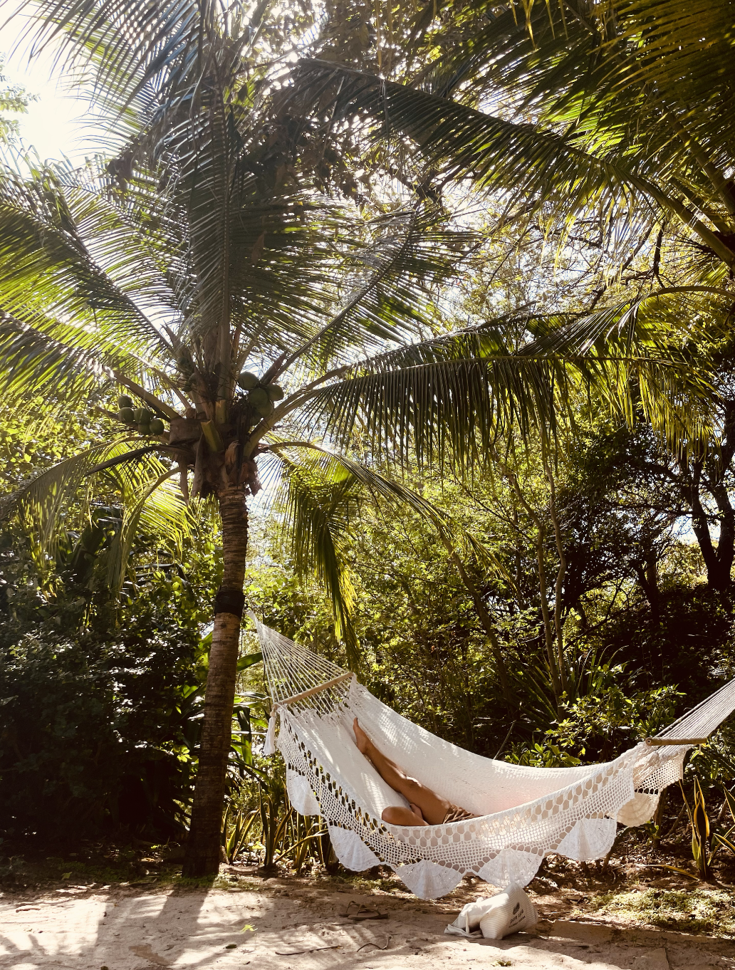 Person relaxing on a white hammock hanging between a palm tree and another tree in a lush, green tropical forest.