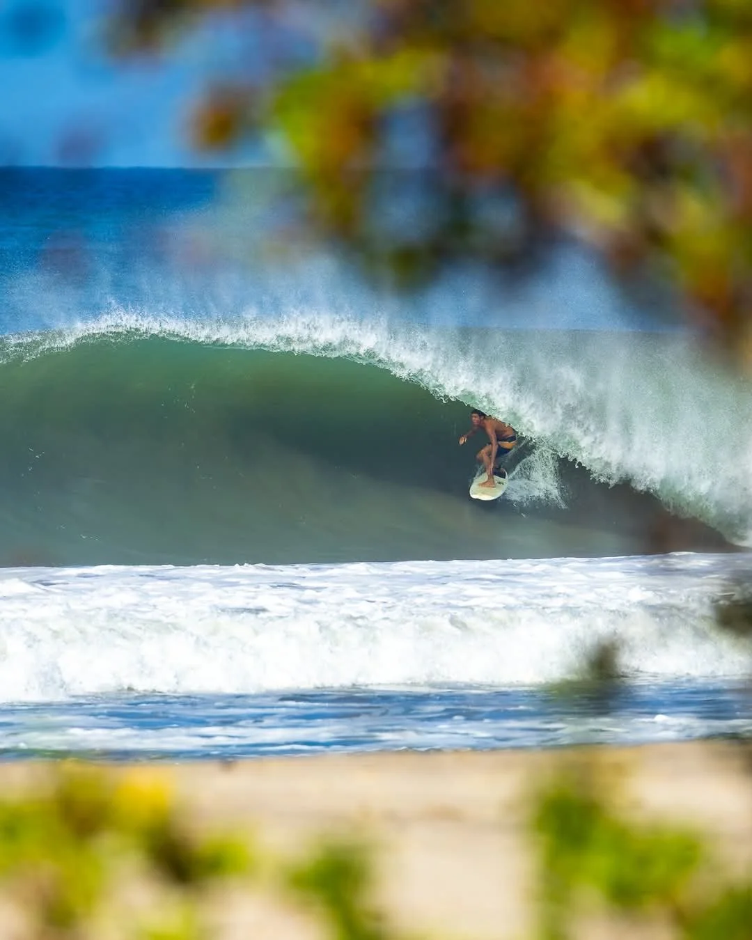 A person surfing inside a large ocean wave near the shoreline with some blurred trees in the foreground.