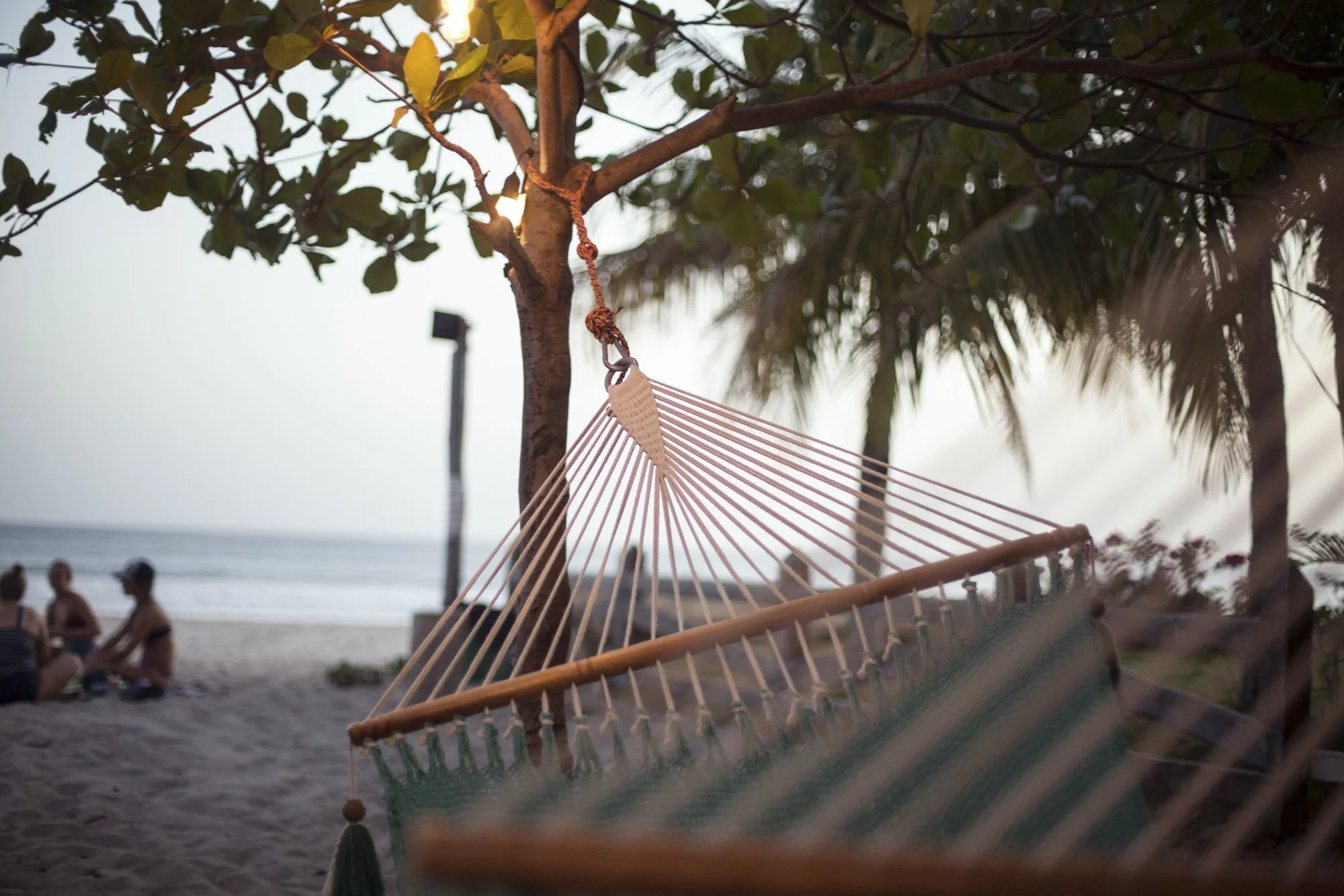 A hammock hanging from a tree on a beach, with people sitting in the background near the shoreline and trees, during sunset or dusk.