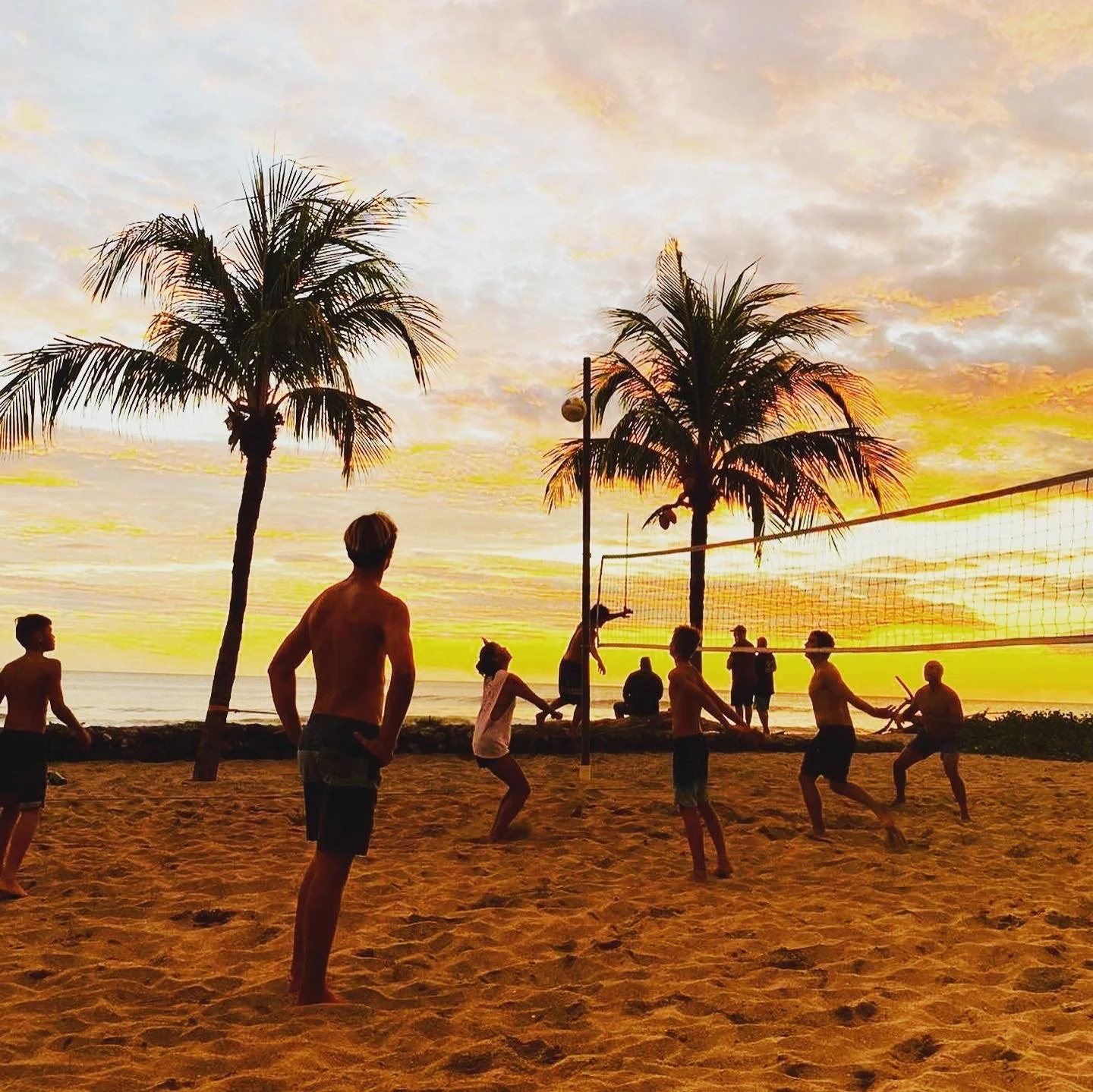 People playing volleyball on the beach at sunset with palm trees in the background.