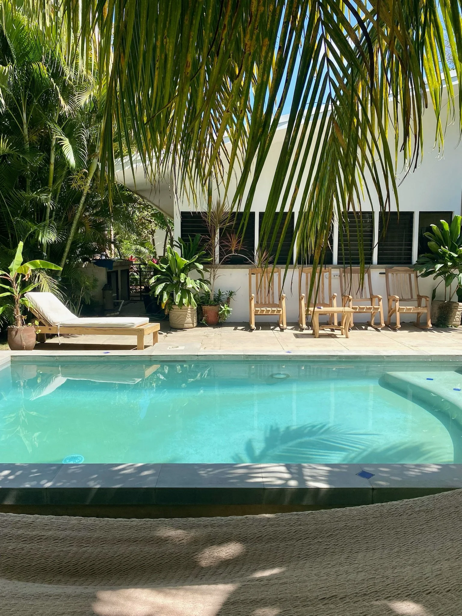 Swimming pool in a tropical backyard with lounge chairs, potted plants, and lush palm trees, viewed from a shaded area.