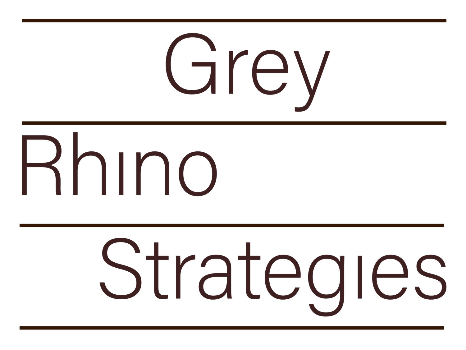 Grey Rhino Strategies