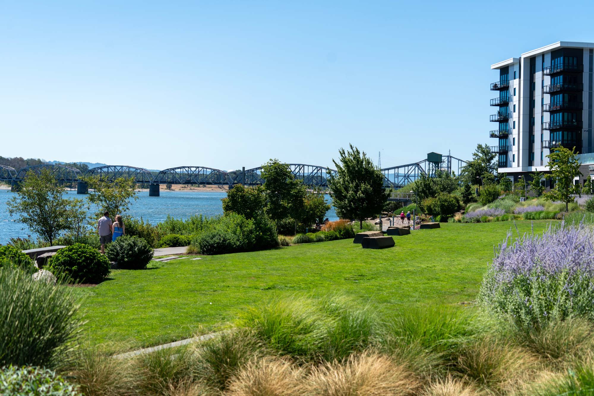 Waterfront Vancouver park with lush green grass, bushes, and purple flowers in the foreground. In the background, there is a bridge crossing the river, a modern high-rise building on the right, and a few people walking along pathways.