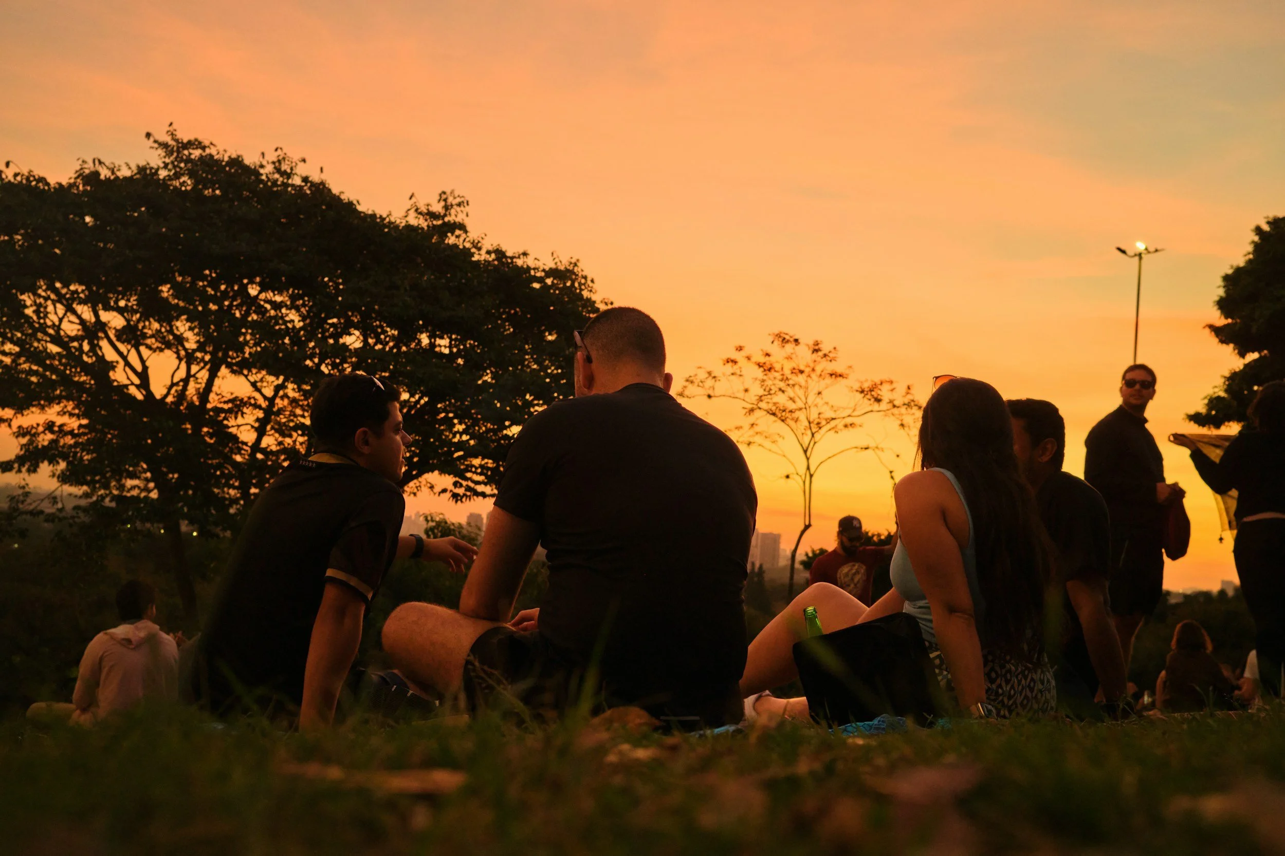 Group of people sitting on grass during sunset, with trees and a tall streetlamp in the background.