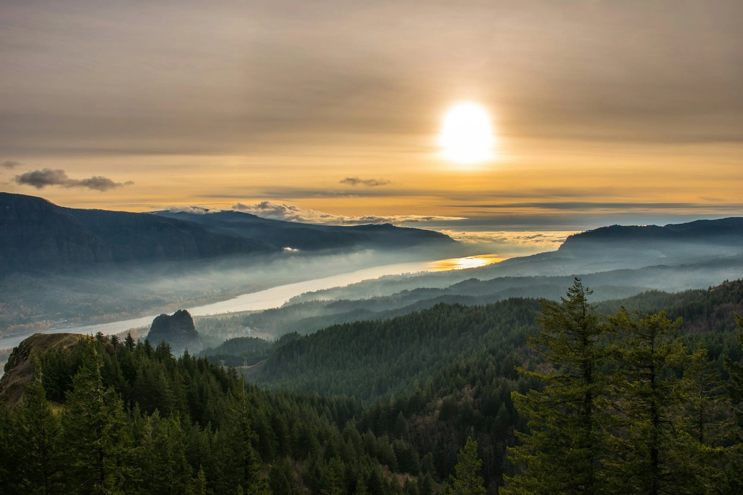 A scenic view of a river flowing through a forested valley with mountains in the background, seen during sunrise or sunset with a partly cloudy sky.