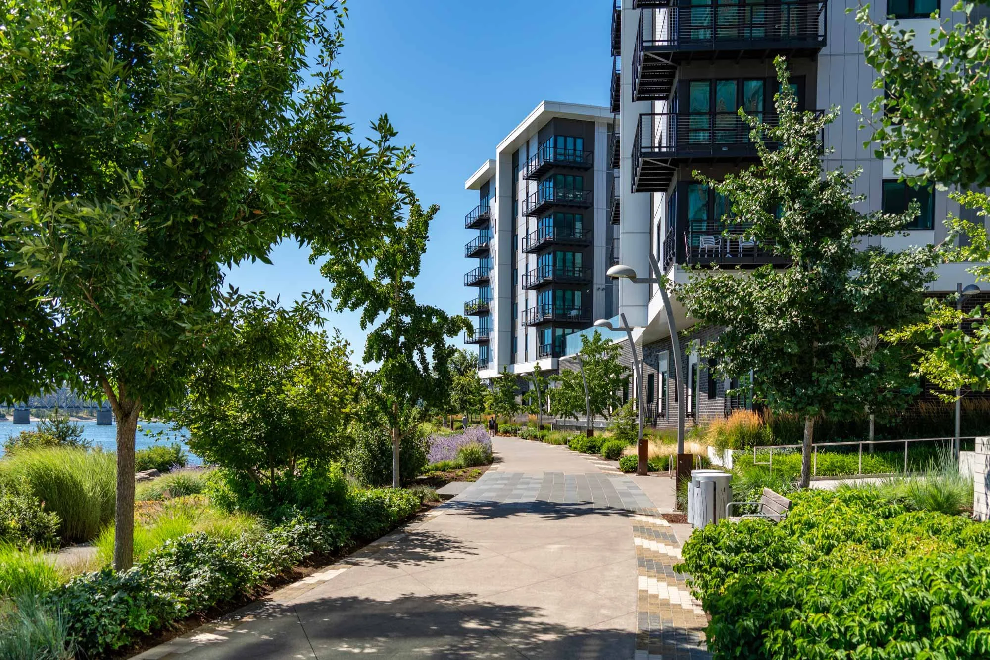 Modern apartment buildings alongside a scenic riverwalk with trees, landscaped plants, benches, and pathway under bright blue sky.