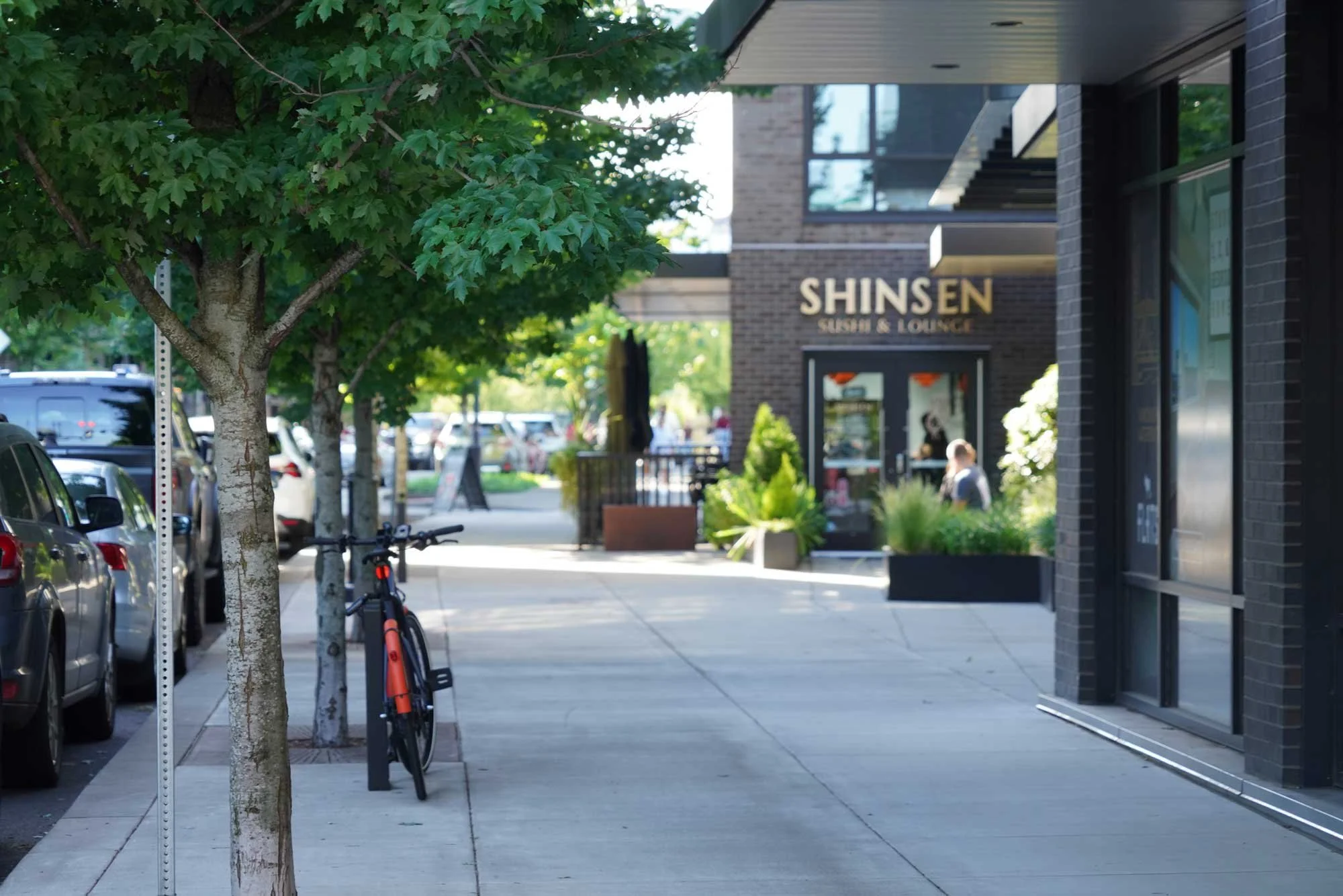 Urban sidewalk view with parked cars, green trees, bicycles, and a restaurant sign reading 'SHINSEN SUSHI & LOUNGE' in the background.