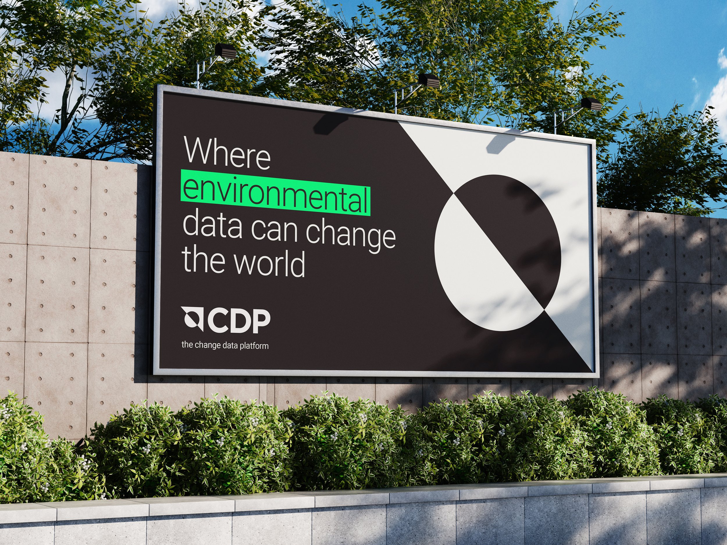 cdp.jpg