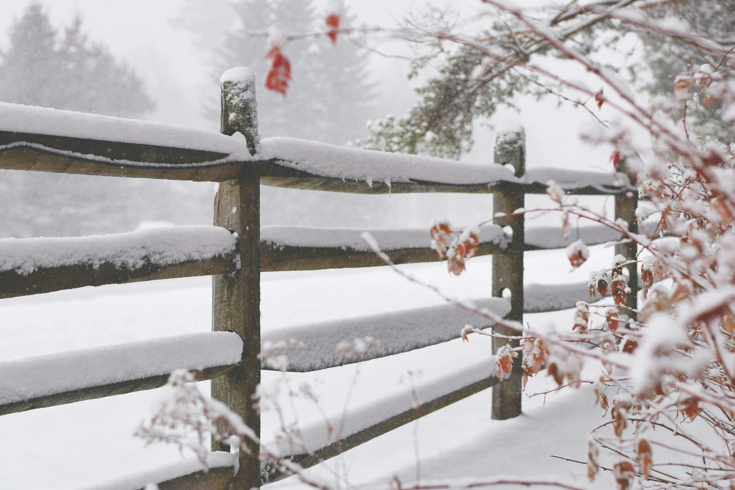 Winter 2026