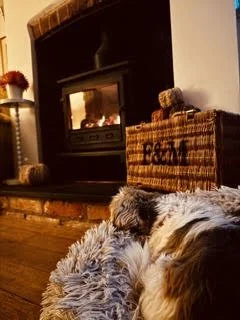 Leila resting in her bed in front of the lit fireplace.