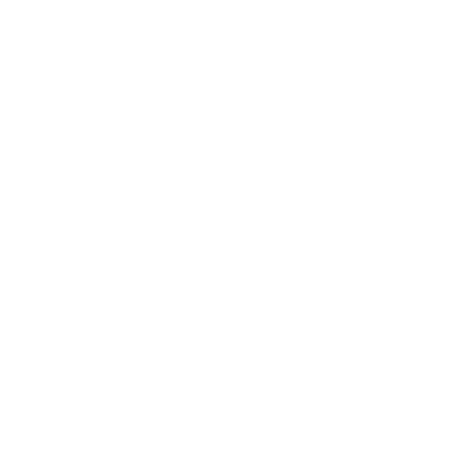 Icon of a globe representing the internet or worldwide connectivity.