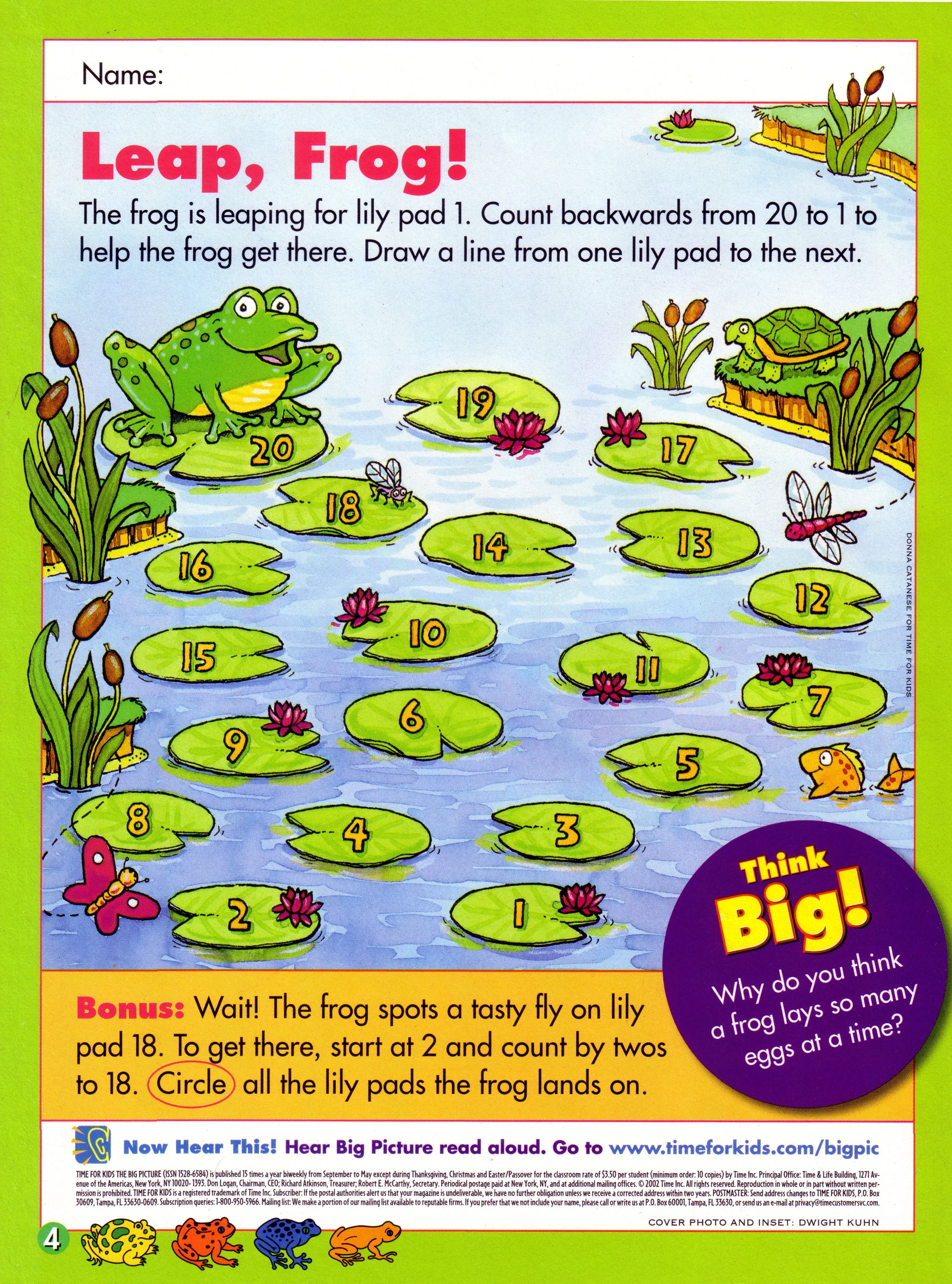 Illustration for Time Magazine for Kids