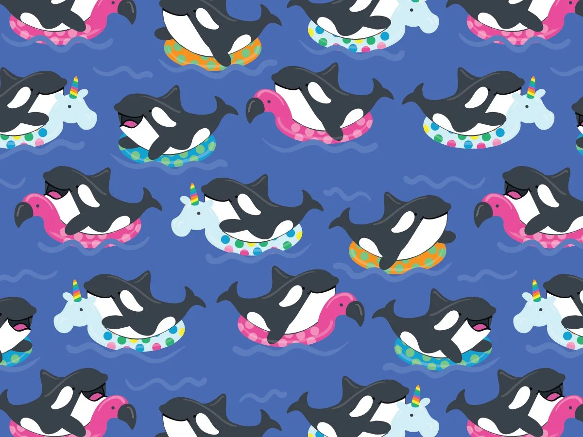 WEB_orcas_donnacatanese.jpg