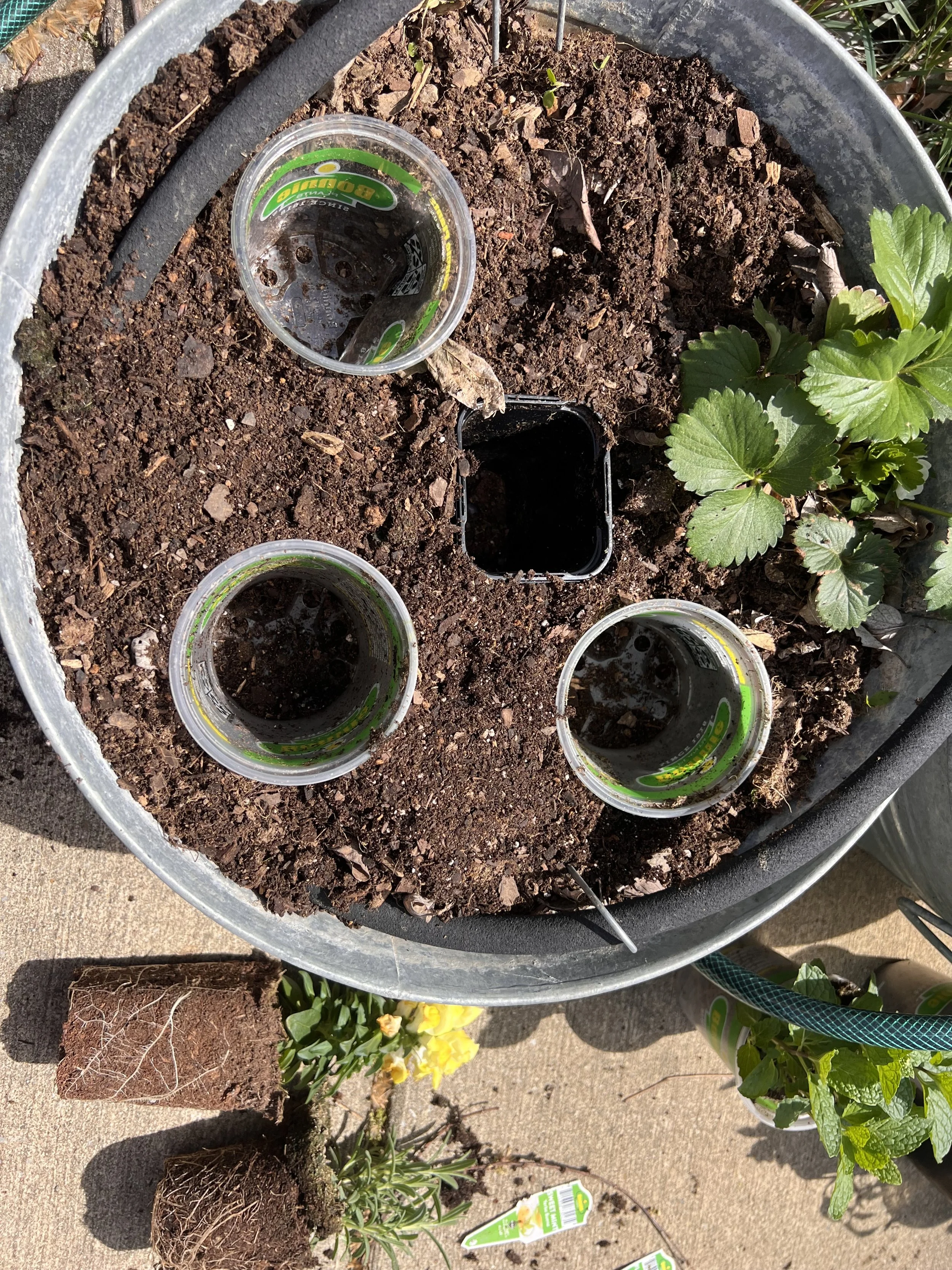 Planning herb container layout