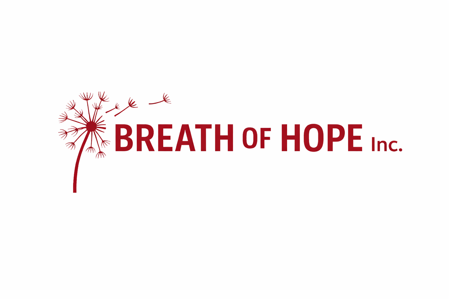 Breath of Hope Inc .org