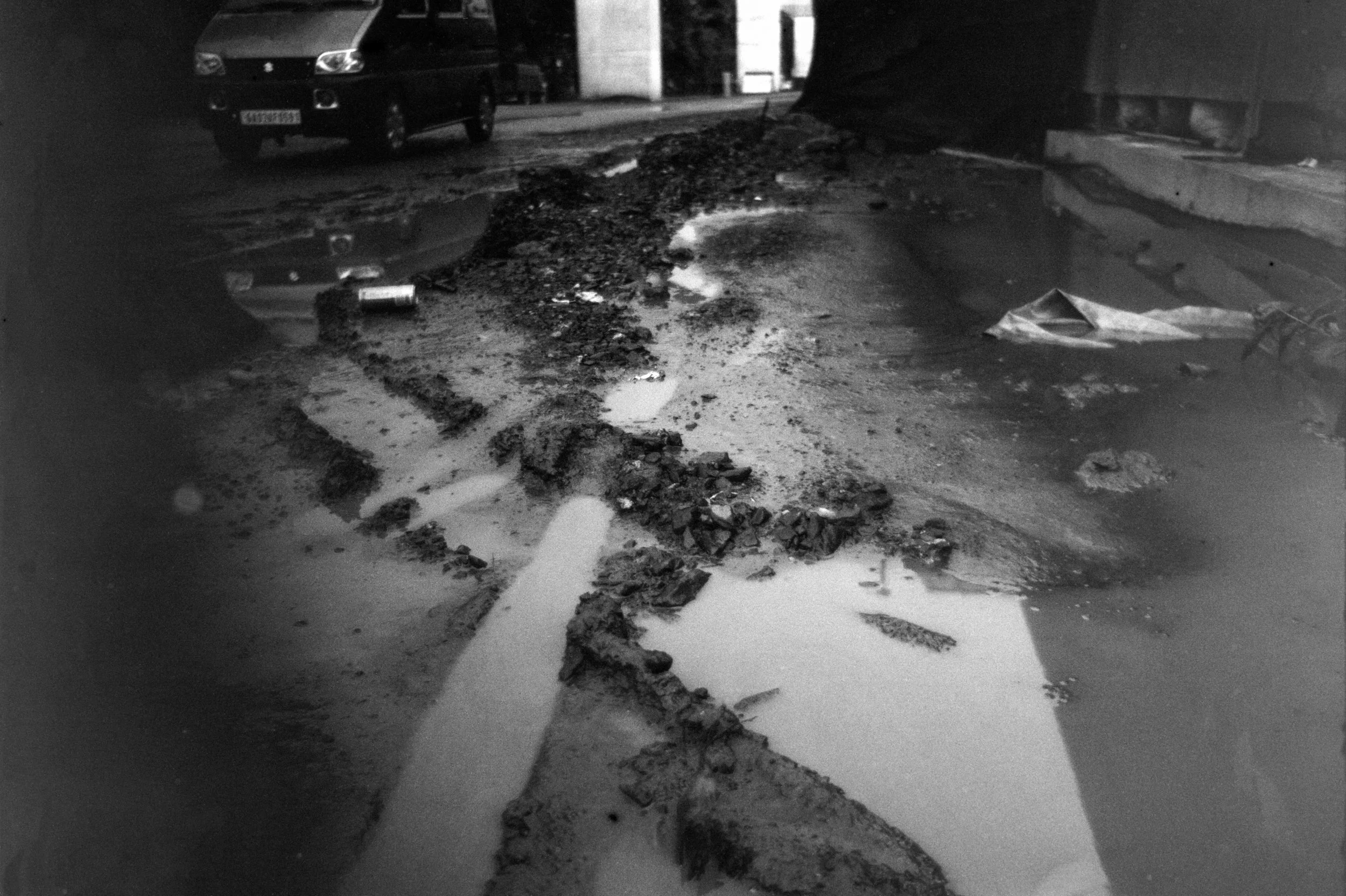 measured in leaves - 2.jpg