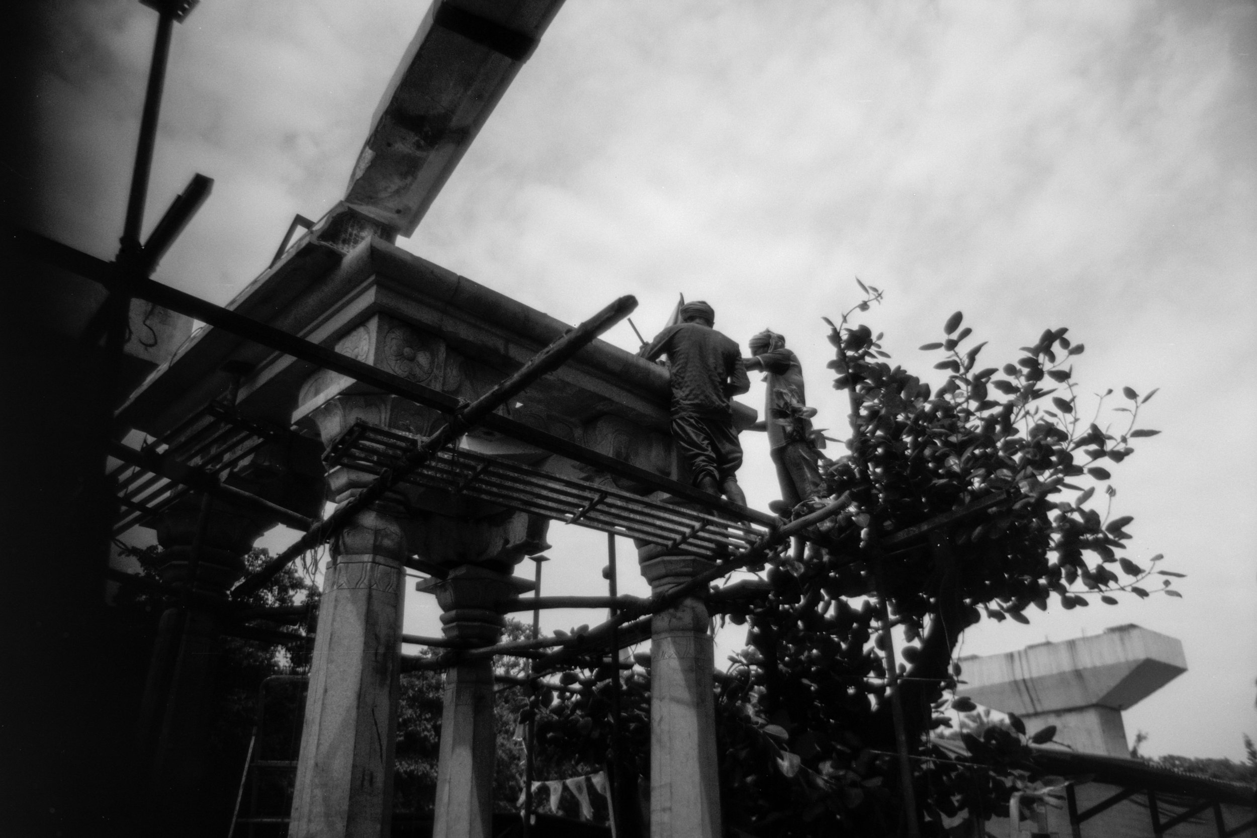 measured in leaves - 4.jpg