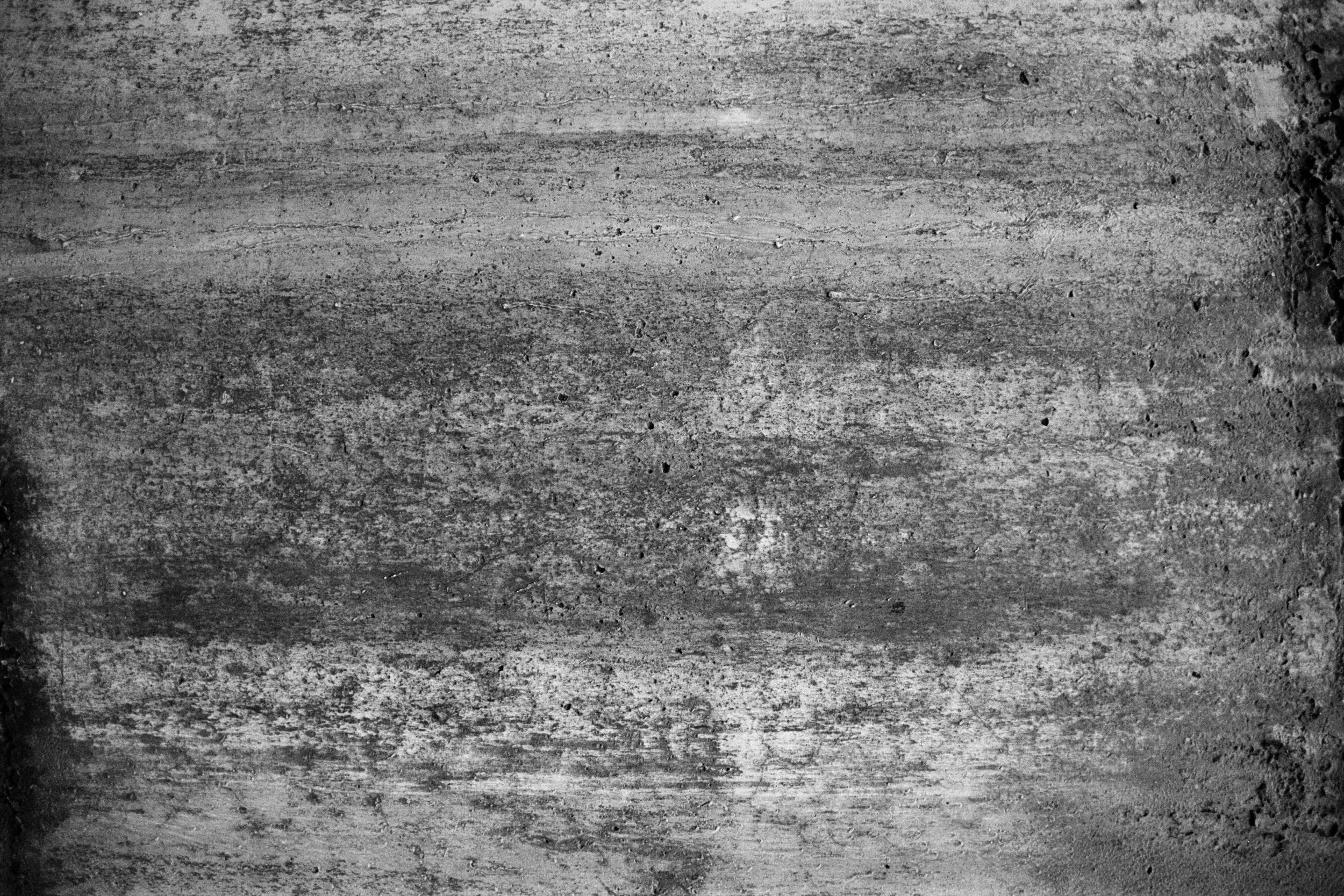 measured in leaves - 13.jpg