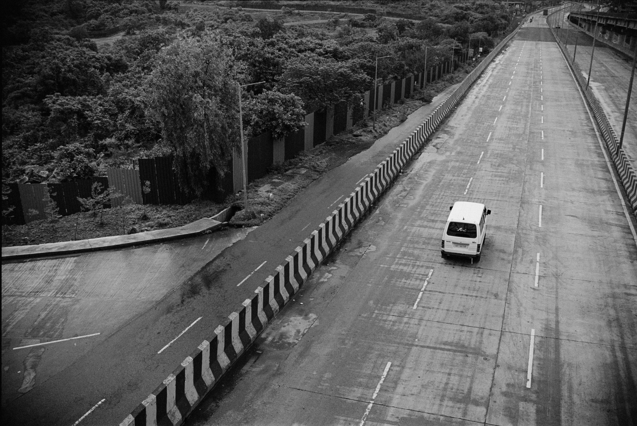 measured in leaves - 11.jpg