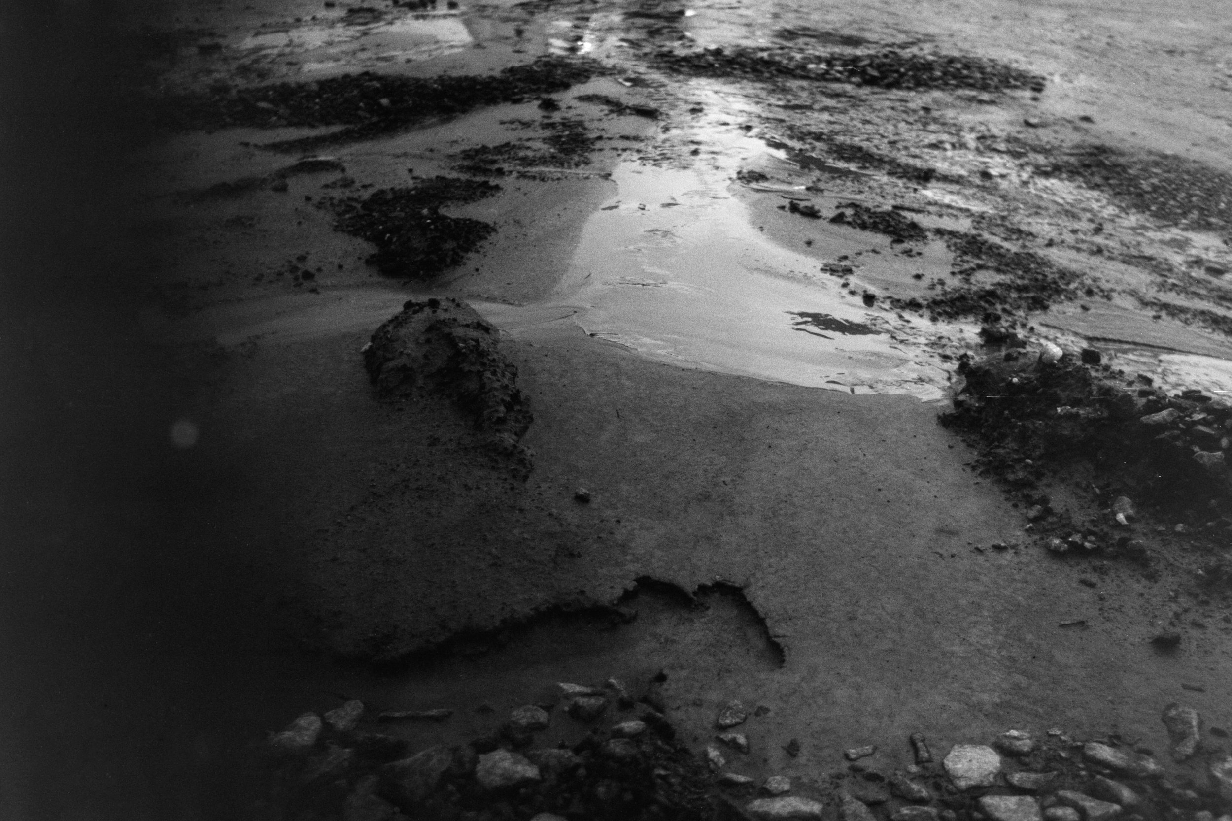 measured in leaves - 10.jpg