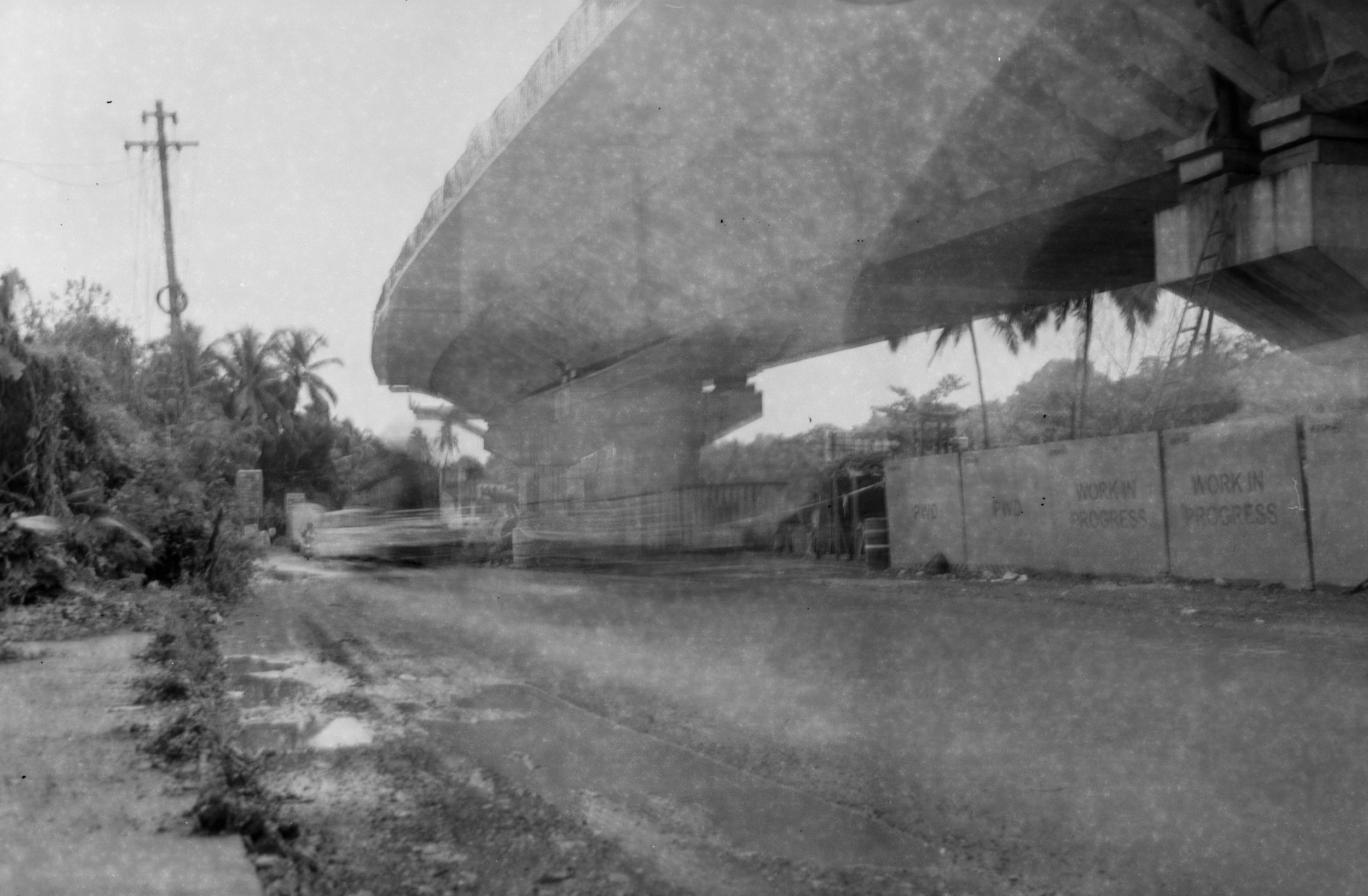 measured in leaves - 8.jpg