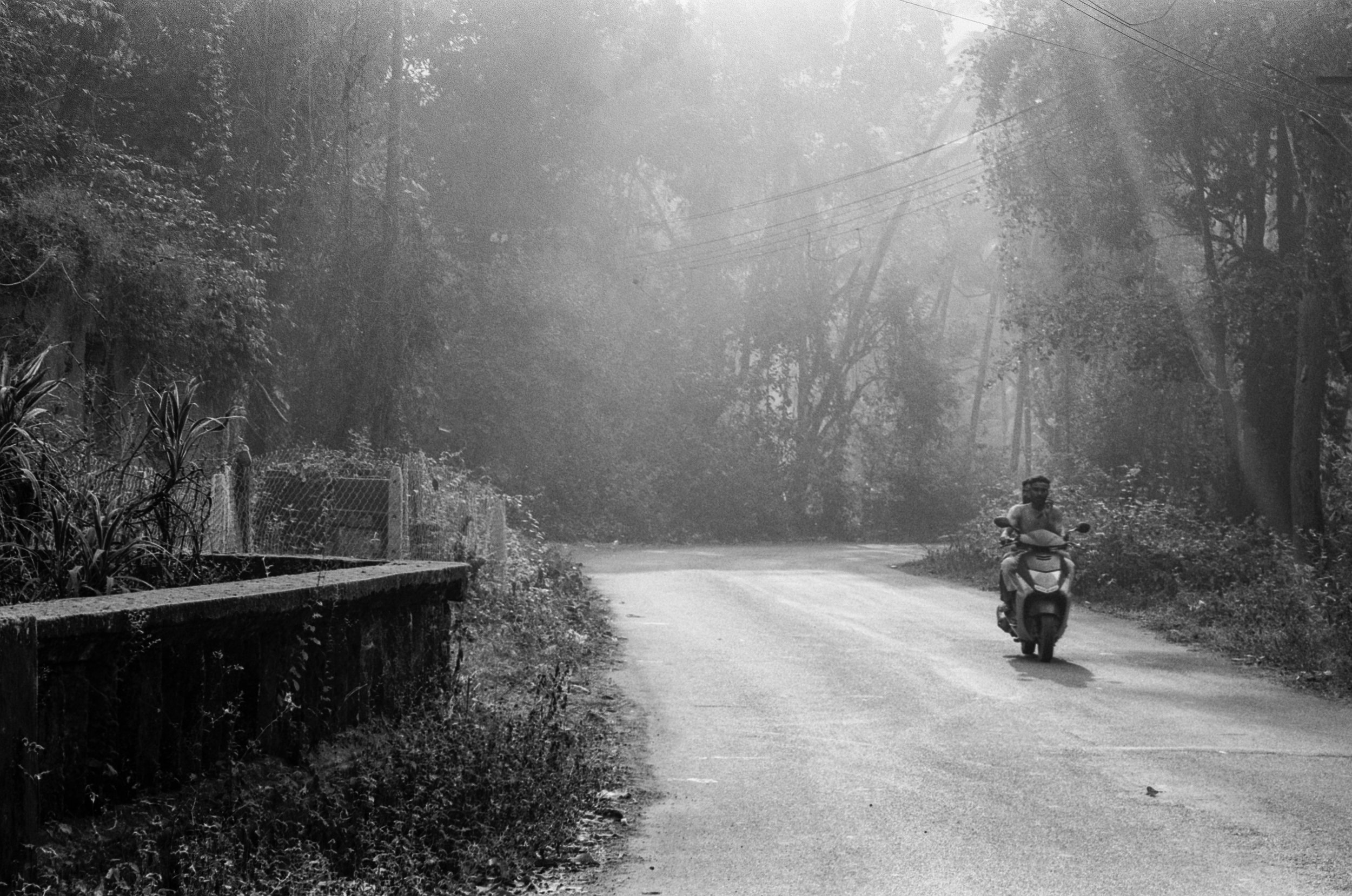 measured in leaves - 7.jpg