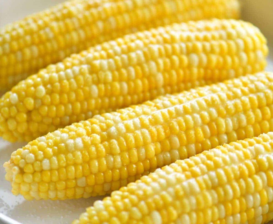Photo of four ears of cord on a plate. They appear to be buttered and ready to eat.
