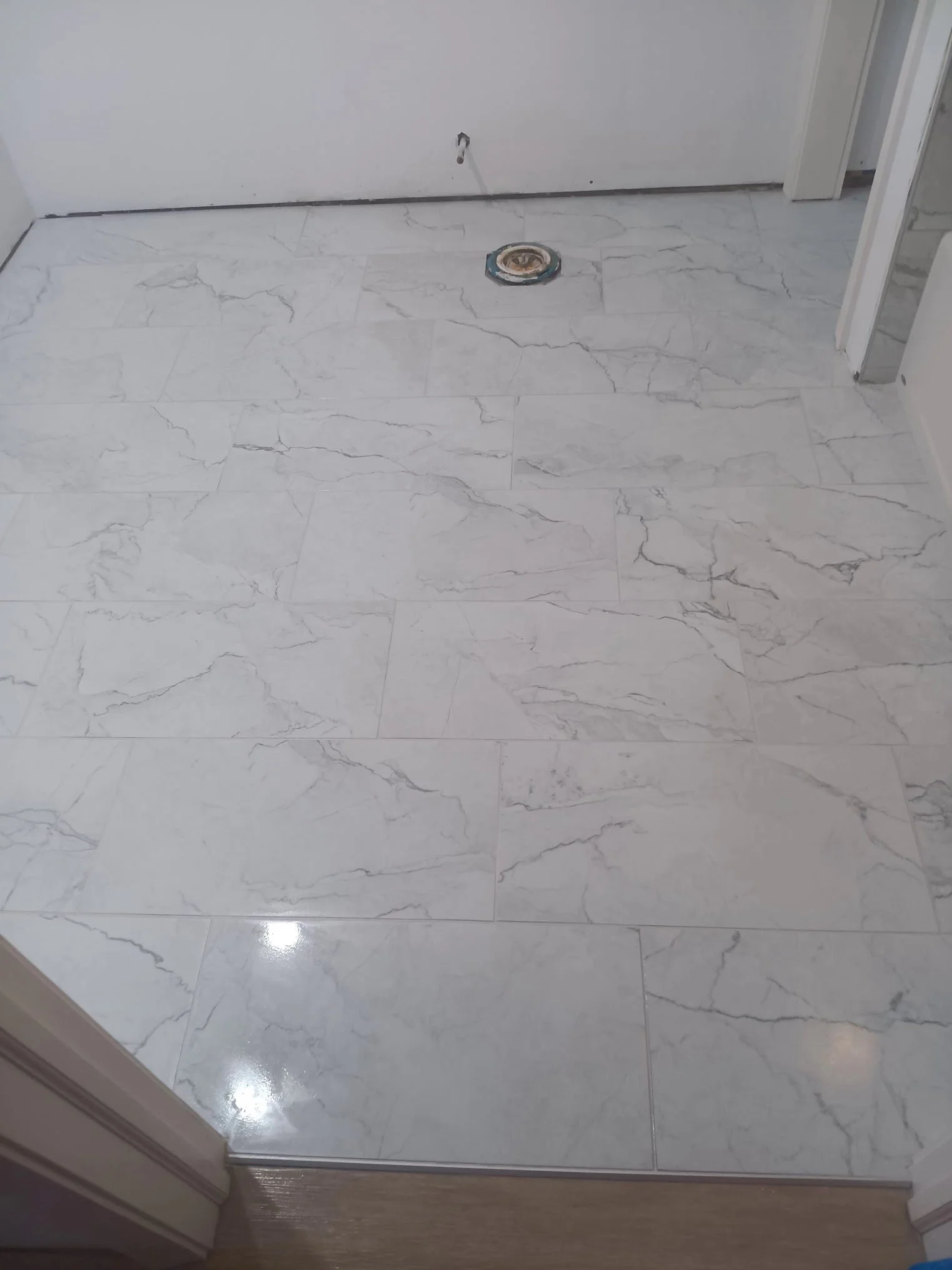 Indoor marble flooring in white with grey veining, with a small circular floor drain in the center, next to a white door and a wooden threshold.