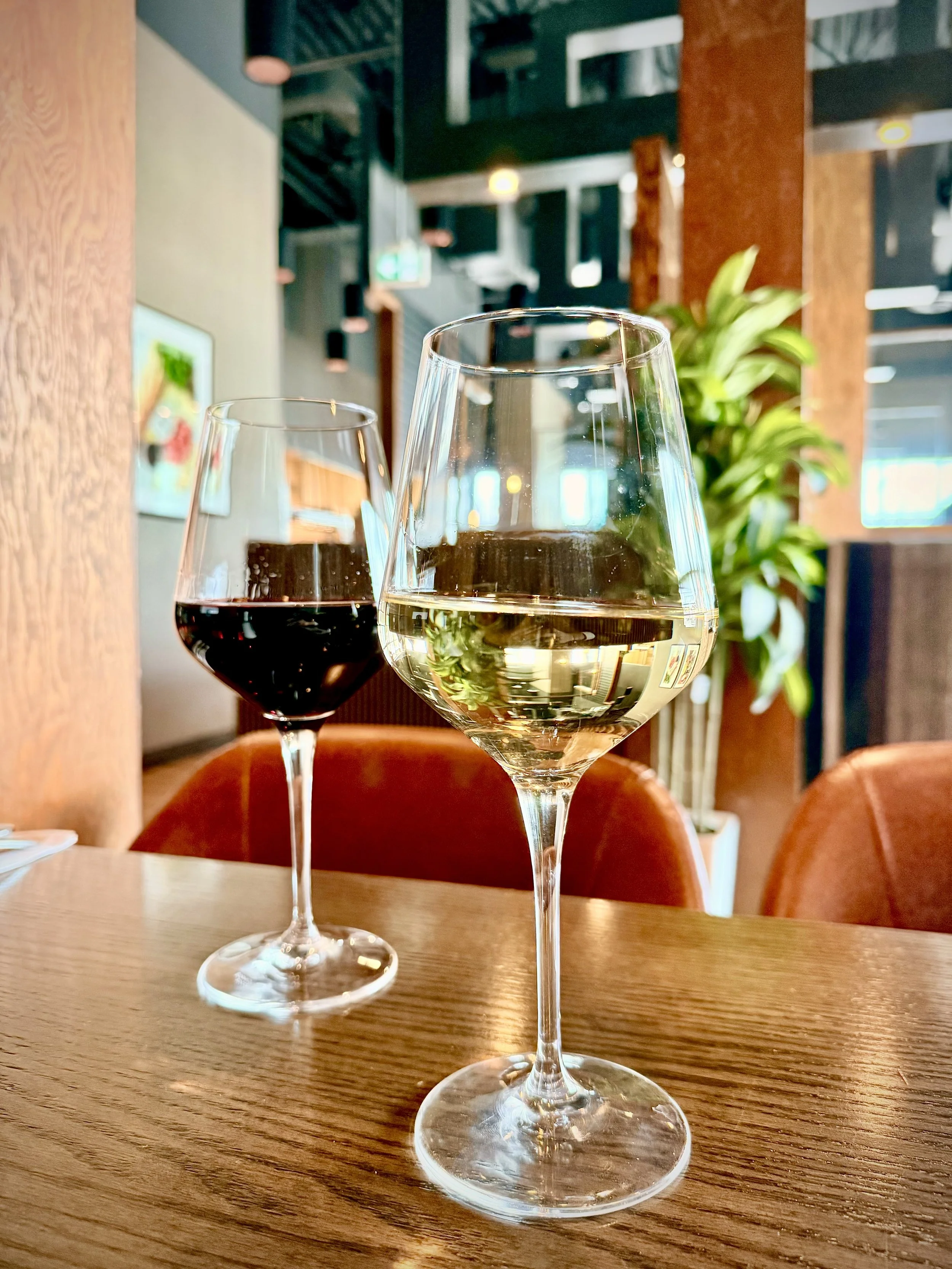 Glass of red and white wine