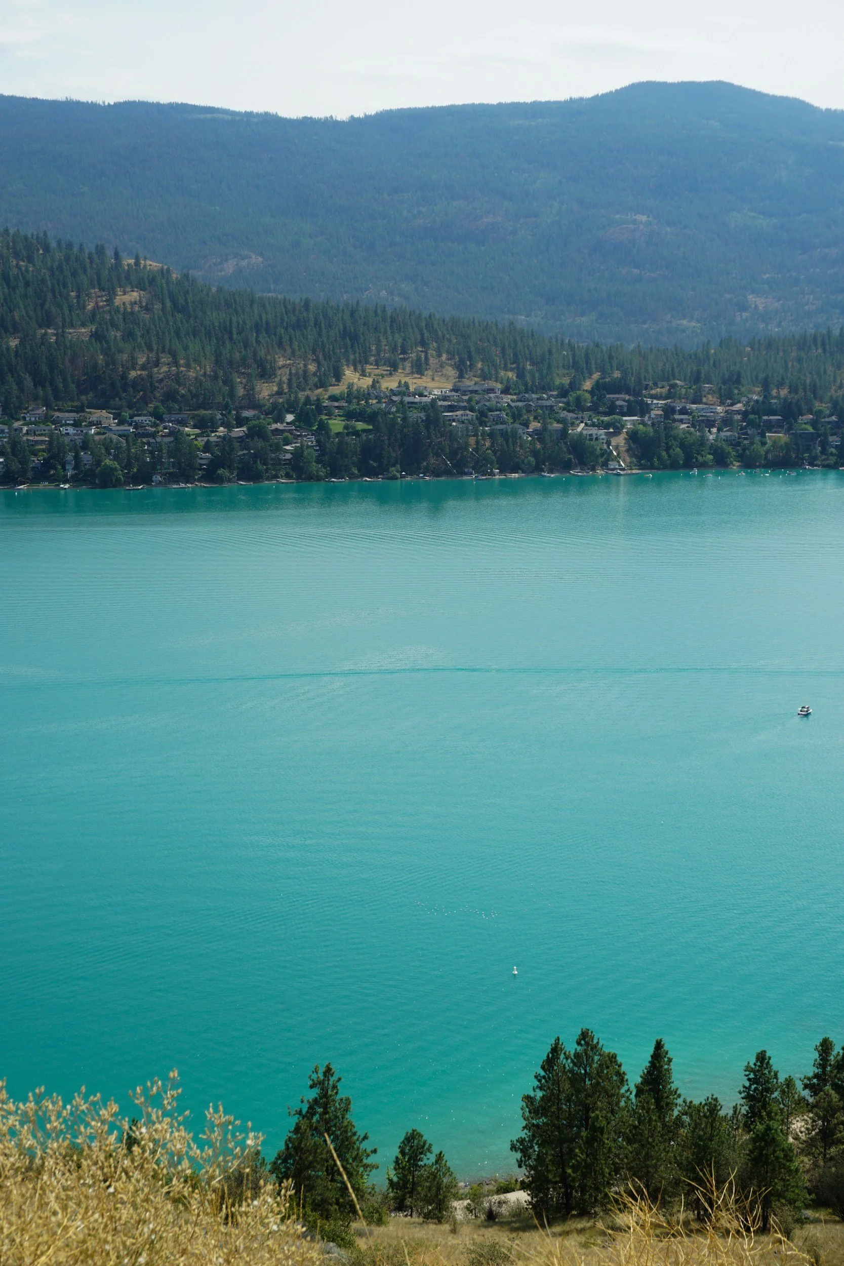 Scenic view of a large turquoise lake with surrounded trees and mountains in the background under a partly cloudy sky.
