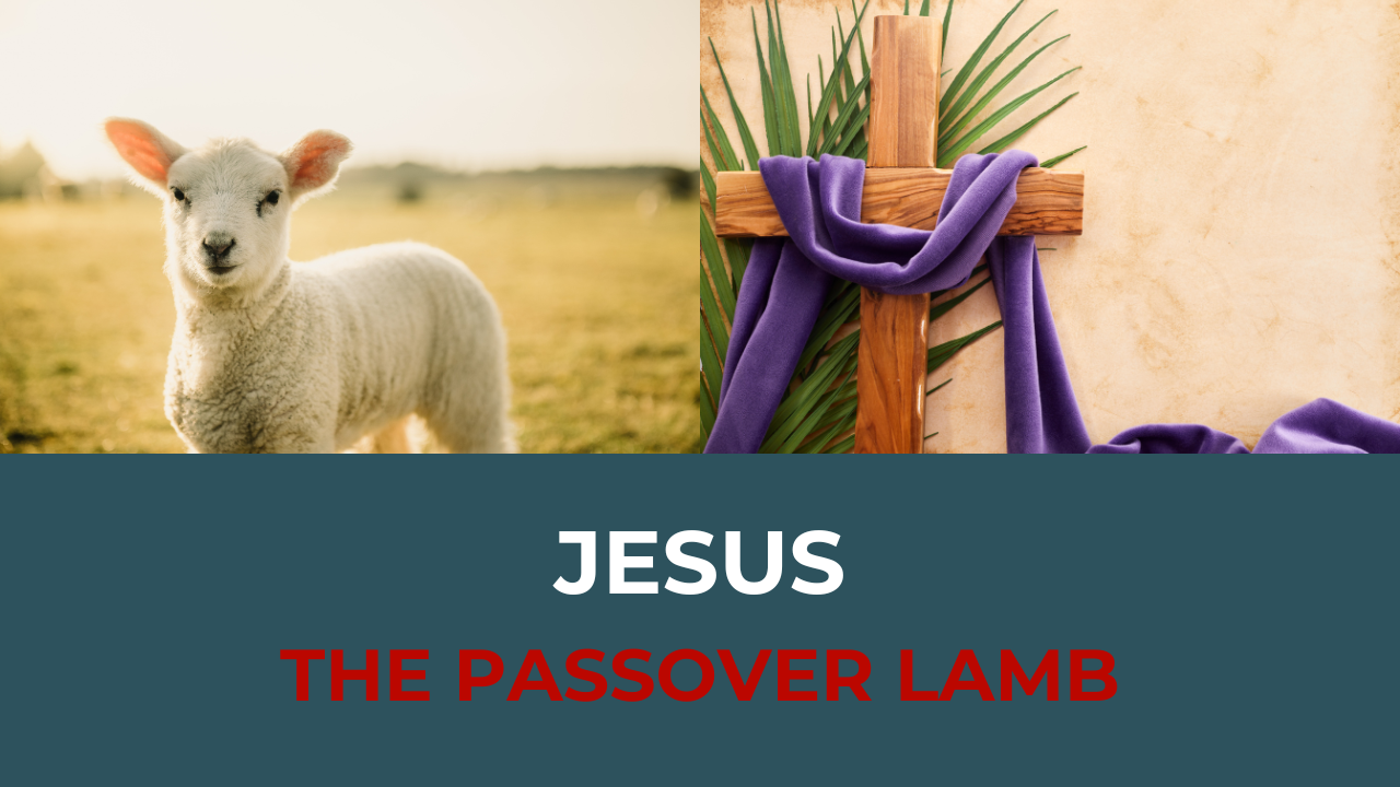 Jesus, The passover Lamb