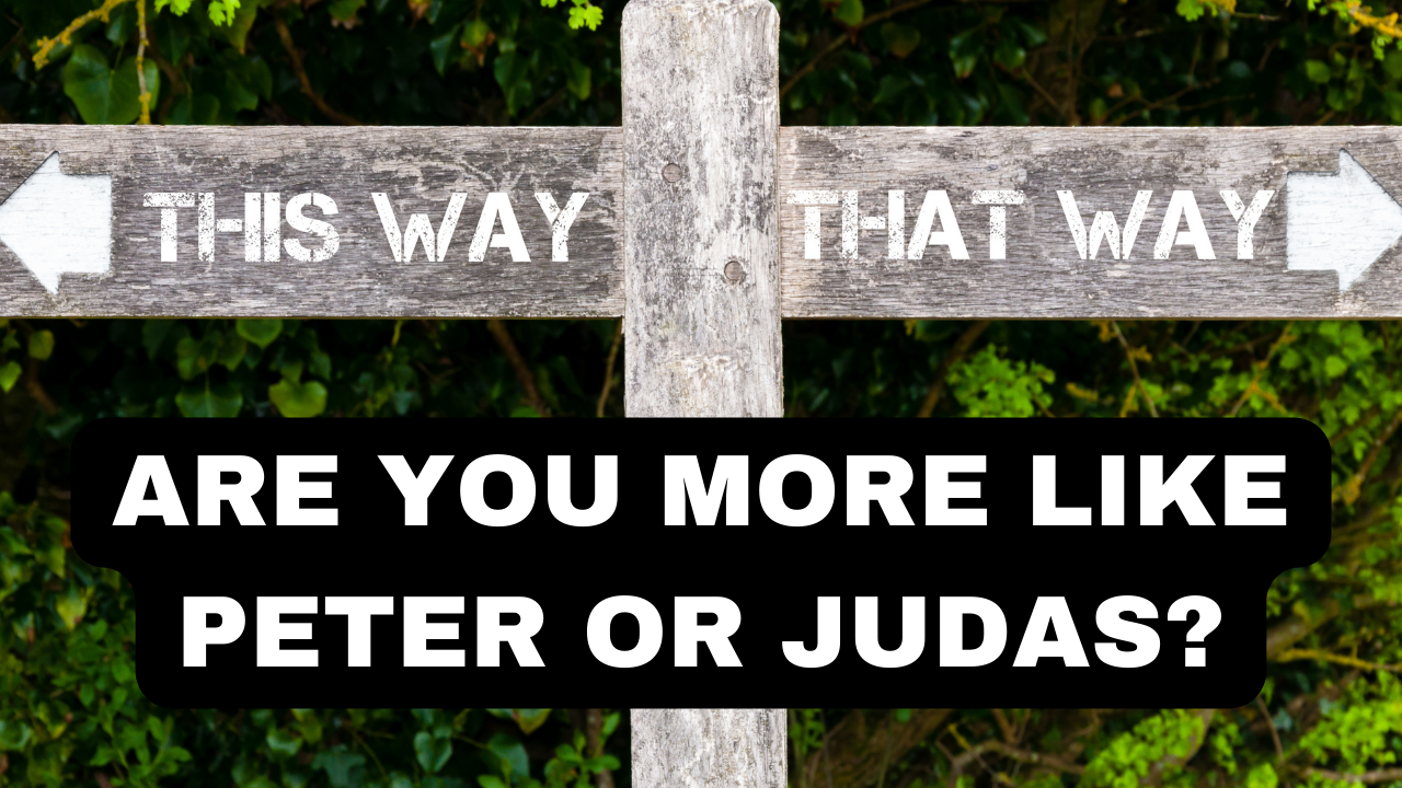 Are you more like Peter or judas?