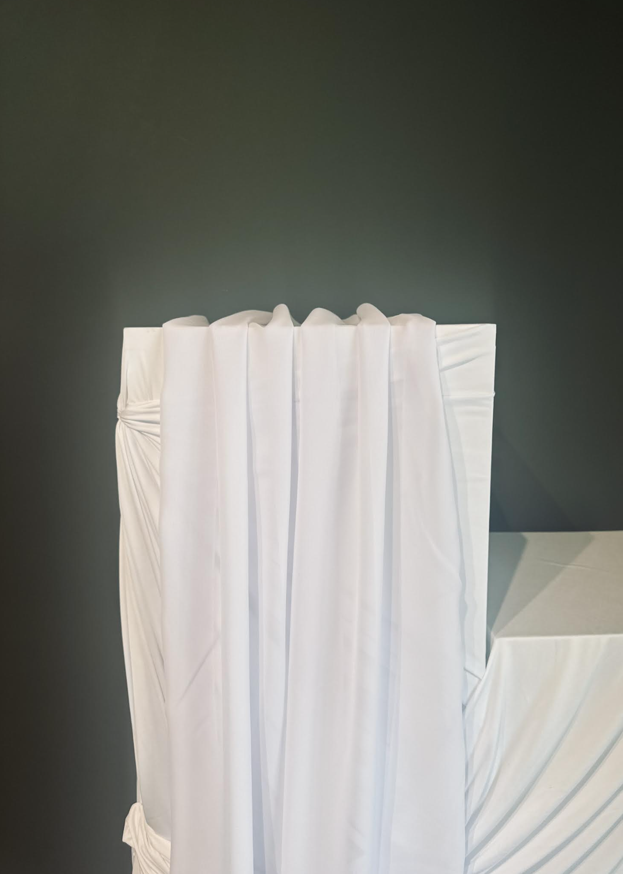 White chiffon table runner. $10 per