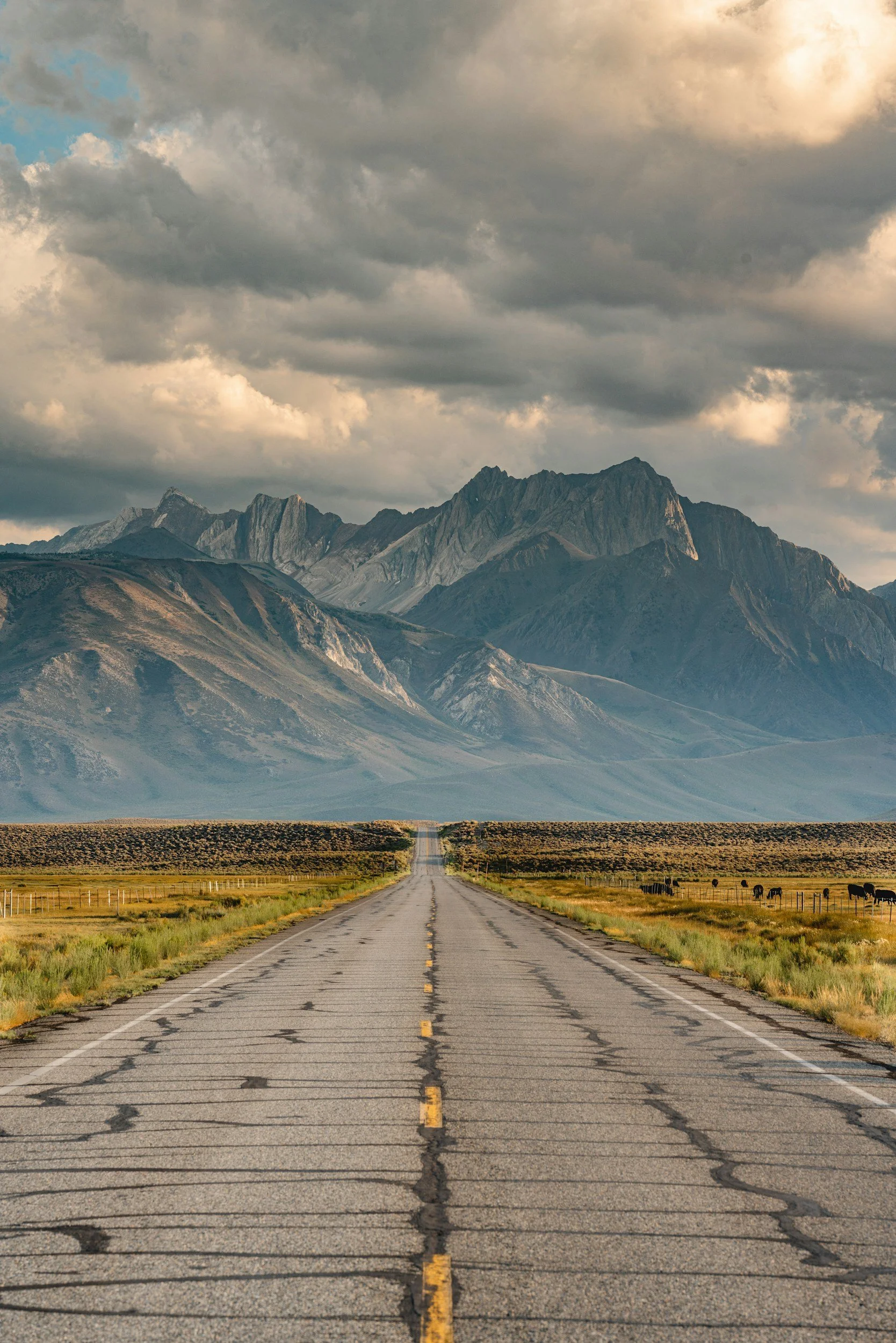 Long empty road stretching toward mountains under cloudy sky, with patches of grass and grazing animals on the sides.