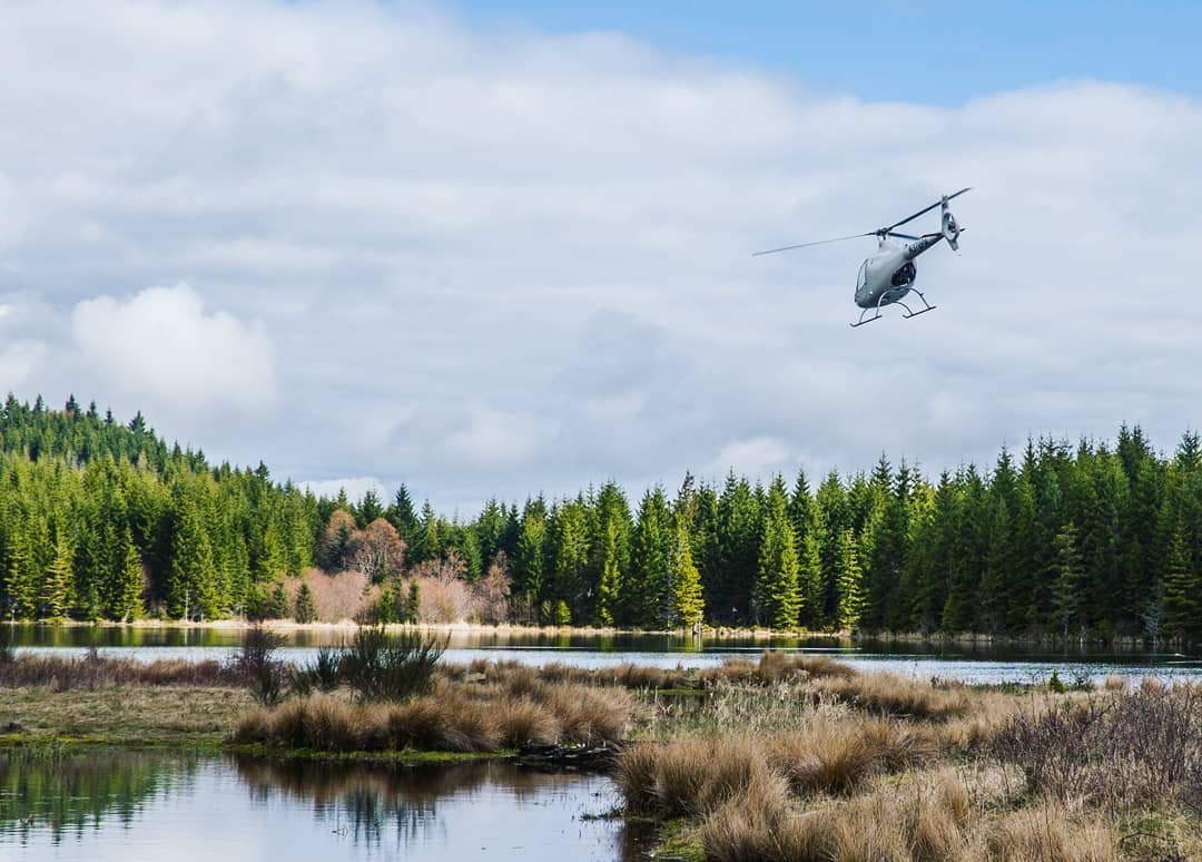 Cabri flying away.jpg