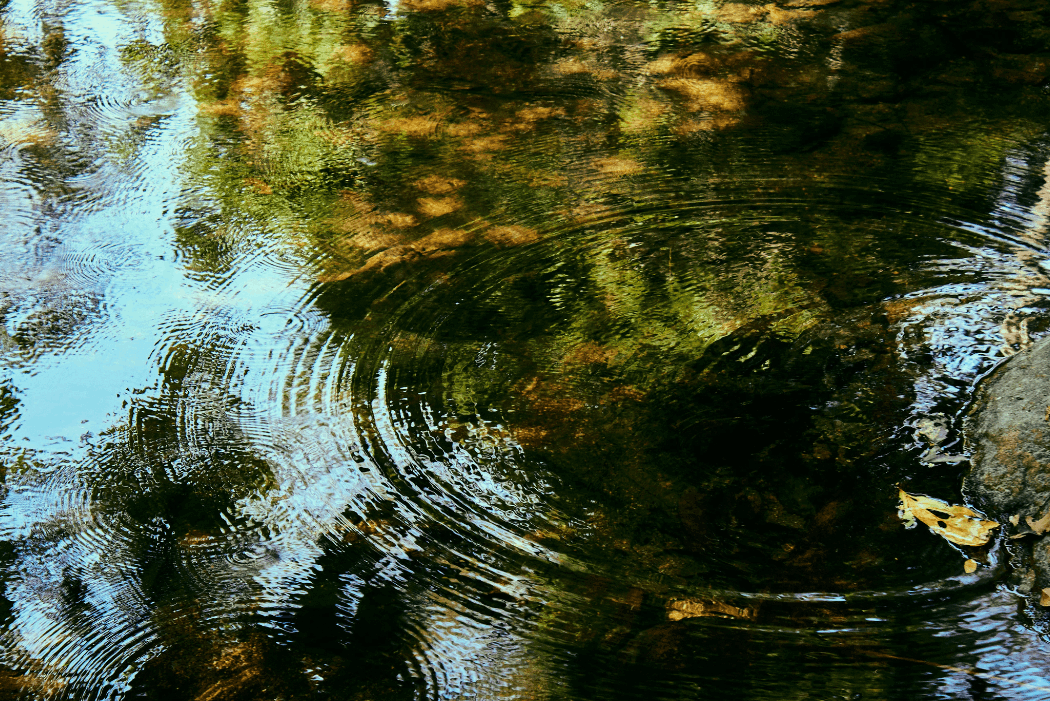 Close-up of a gently rippling stream with reflections of trees and sky, and a visible rock in the lower right corner.