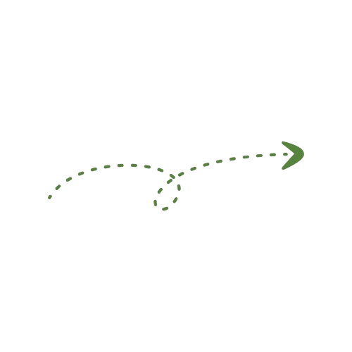 A green dashed line in the shape of an arrow showing the trajectory of a flying baseball.