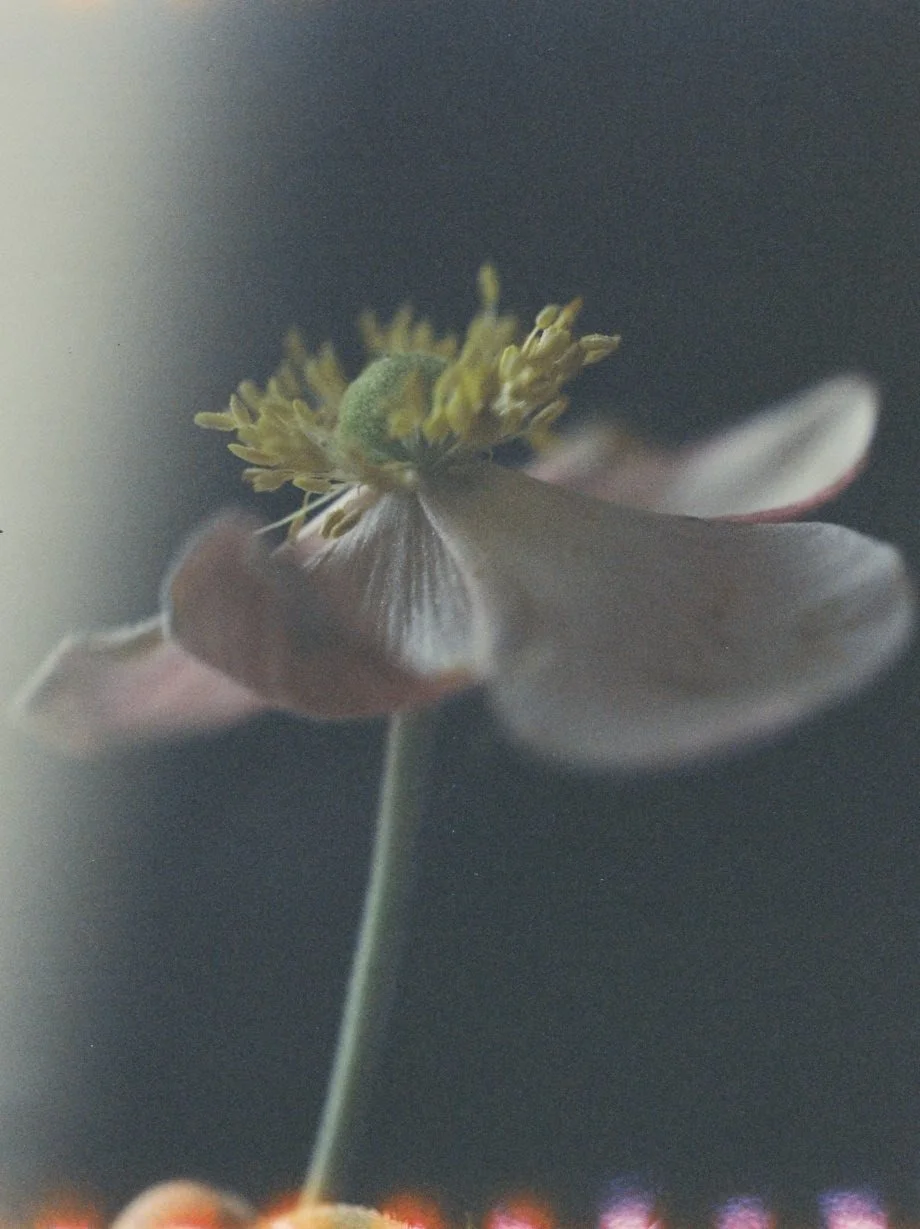 Awaken to Spring | A Mini Retreat  May 2nd