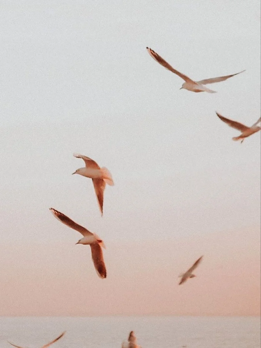 "Breath is the bridge which connects life to consciousness, which unites your body to your thoughts."

- Thich Naht Hanh