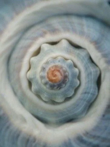 "Each moment is the universe."

- Daimina Katagiri