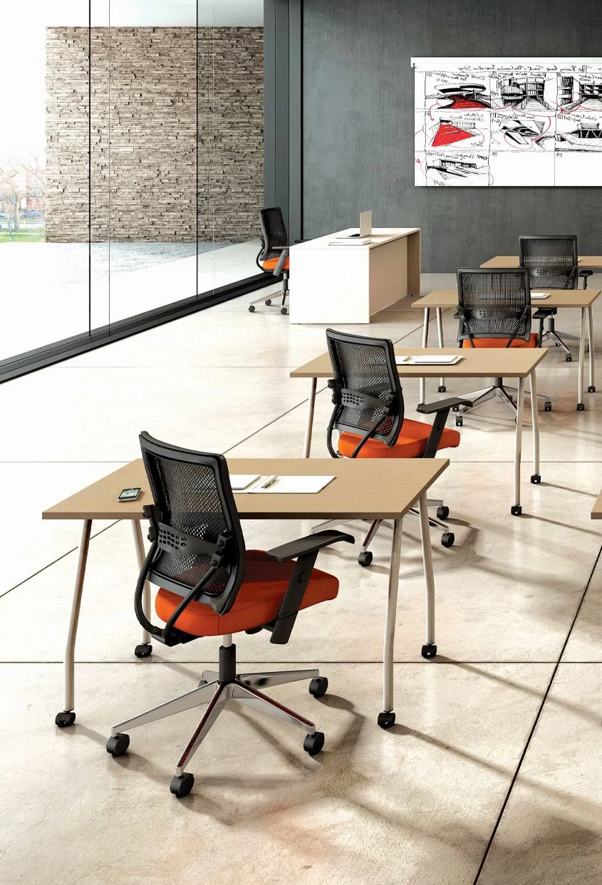 OFGO Studio Versatility