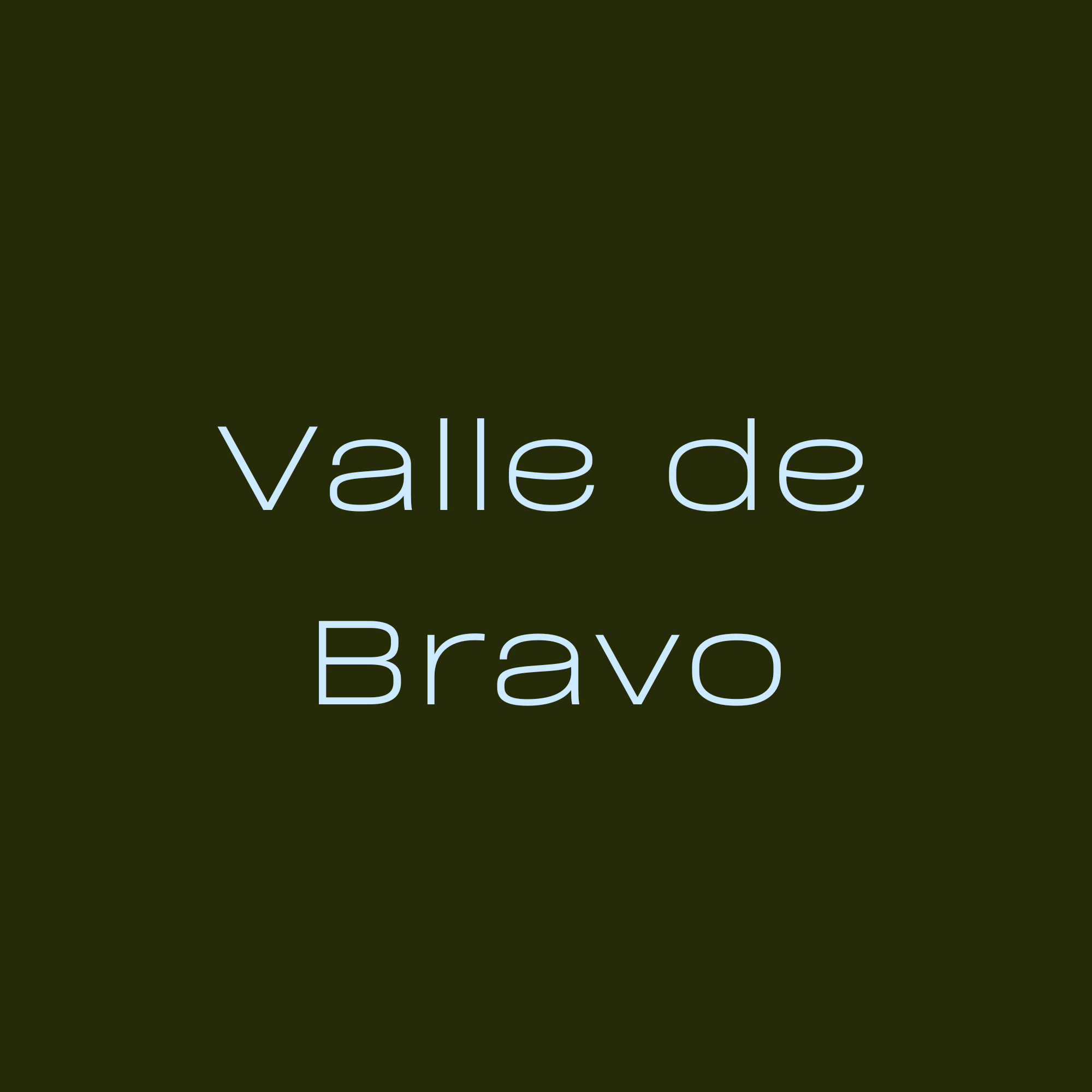 A digital display with the words 'Valle de Bravo' in light blue text on a dark background.