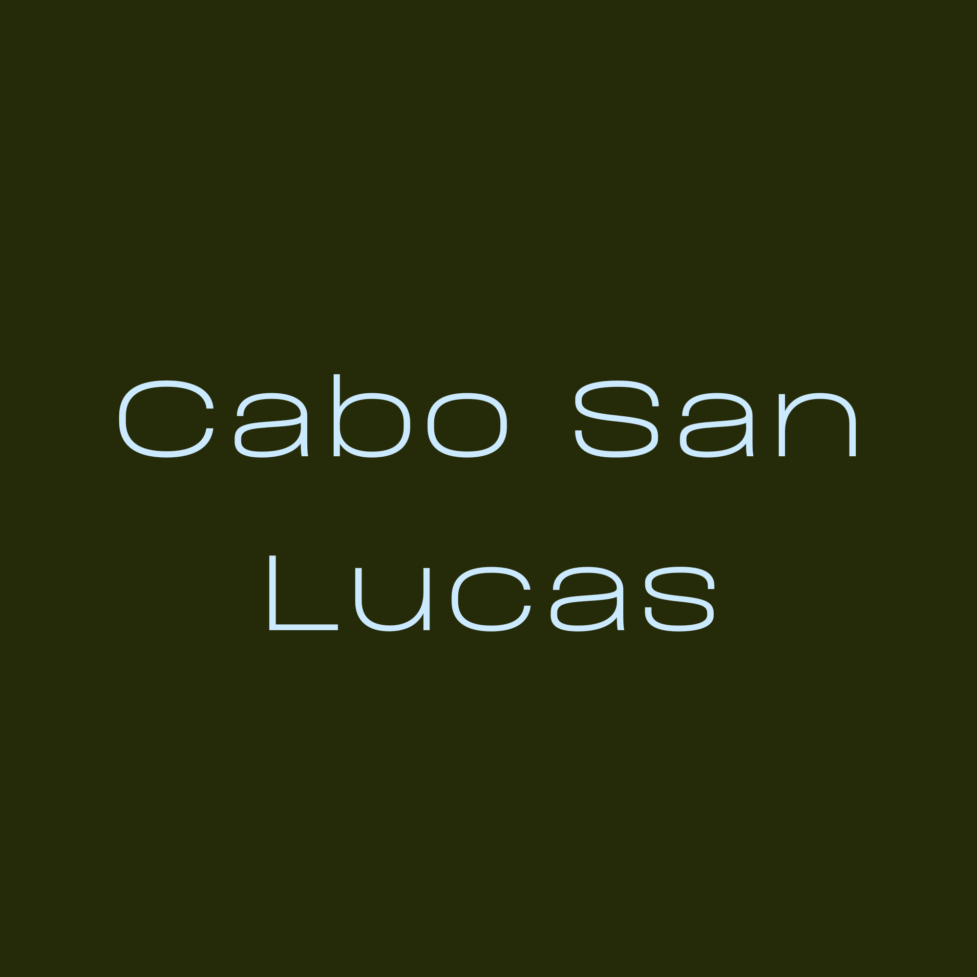 Close-up photograph of a book cover titled 'Cabo San Lucas' with a dark green background.
