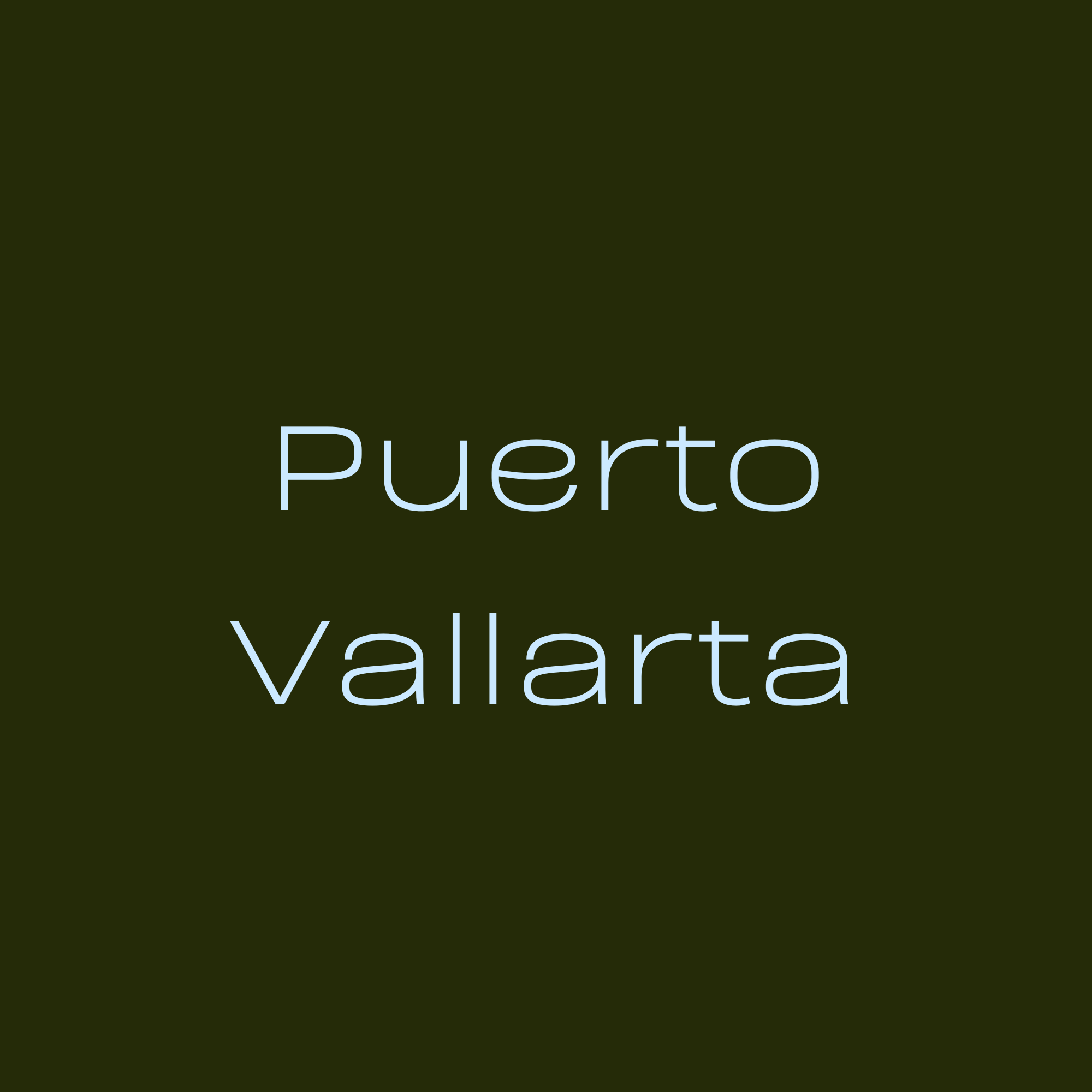 Zoomed-in view of a dark green background with lighter blue text that says 'Puerto Vallarta'.