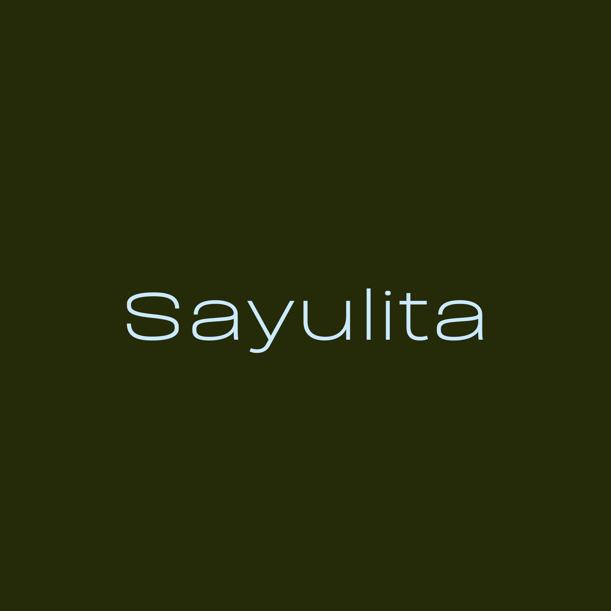Book cover with dark green background, titled 'Sayulita' in light blue text.