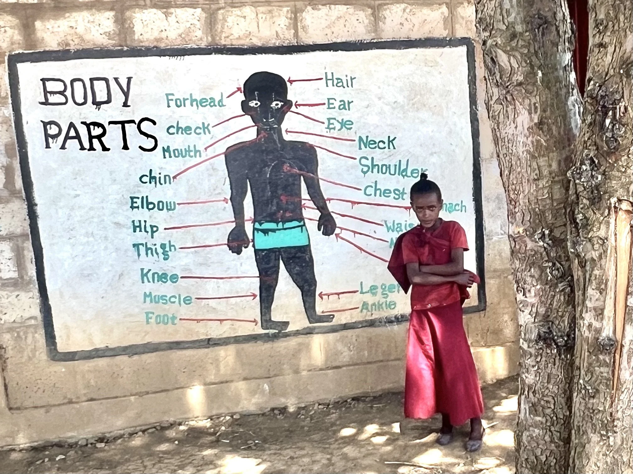 Body parts in English - Qibaa