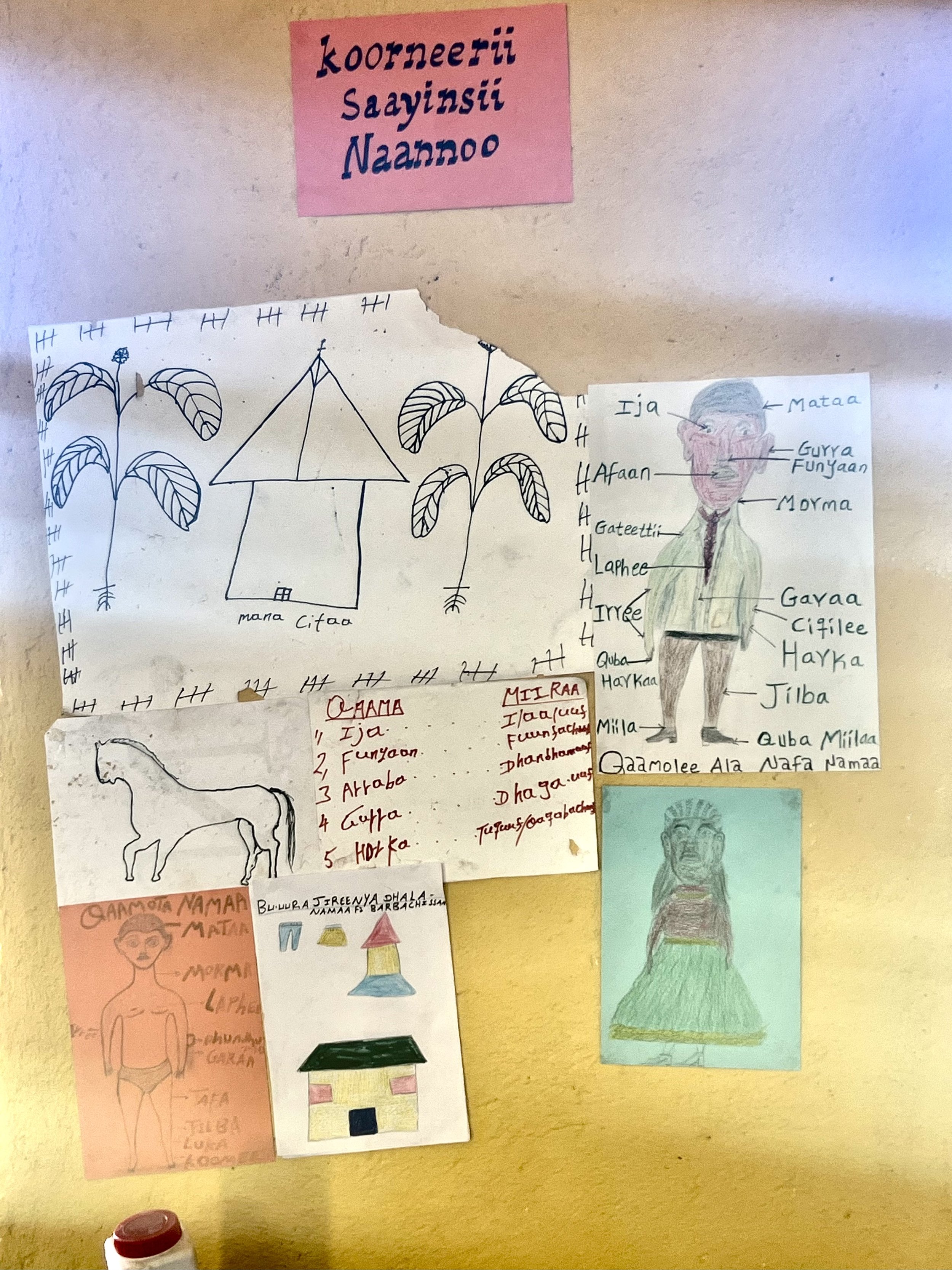 Student drawings