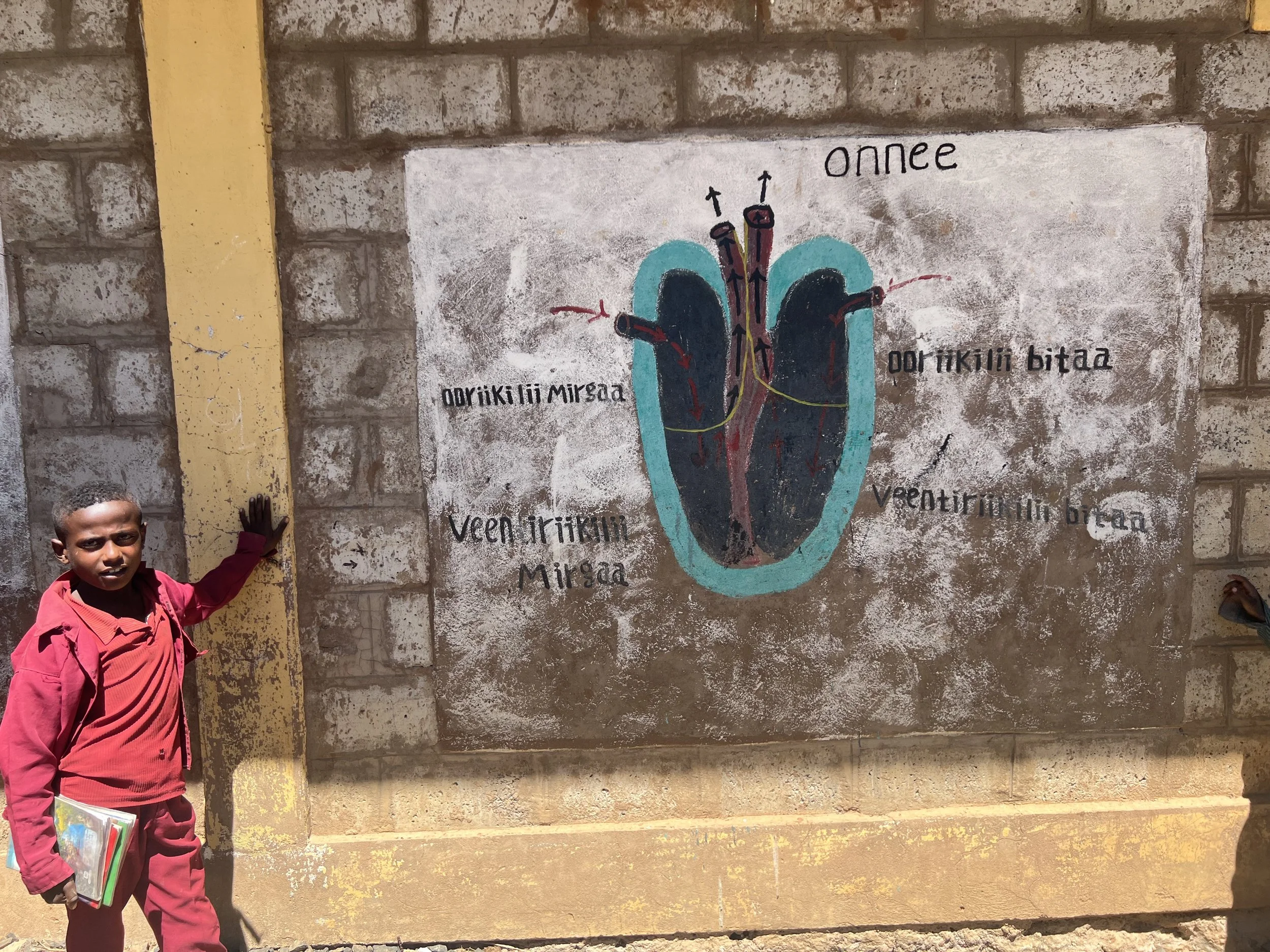 Cardiology in Qibaa