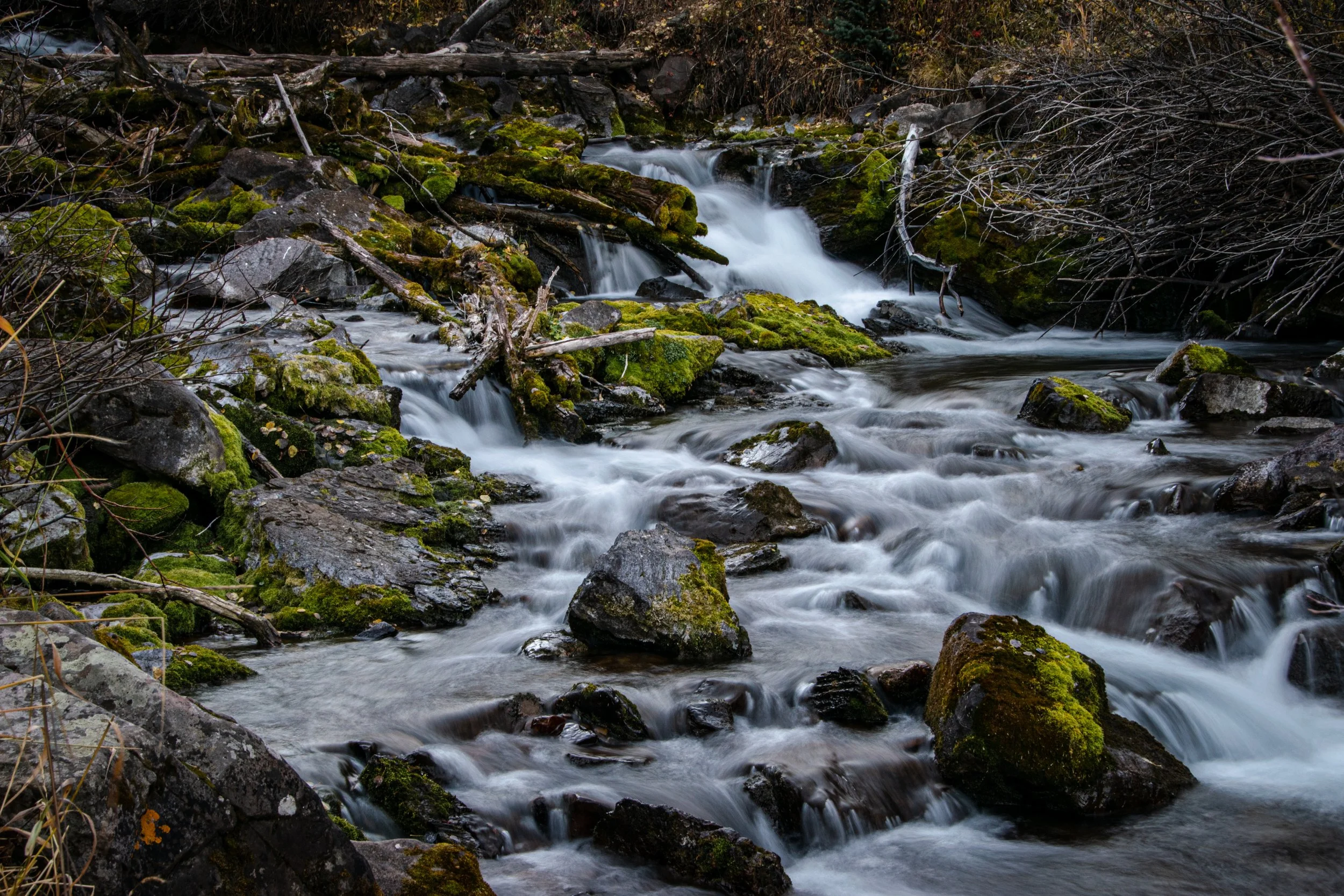 DSC_0483.jpeg